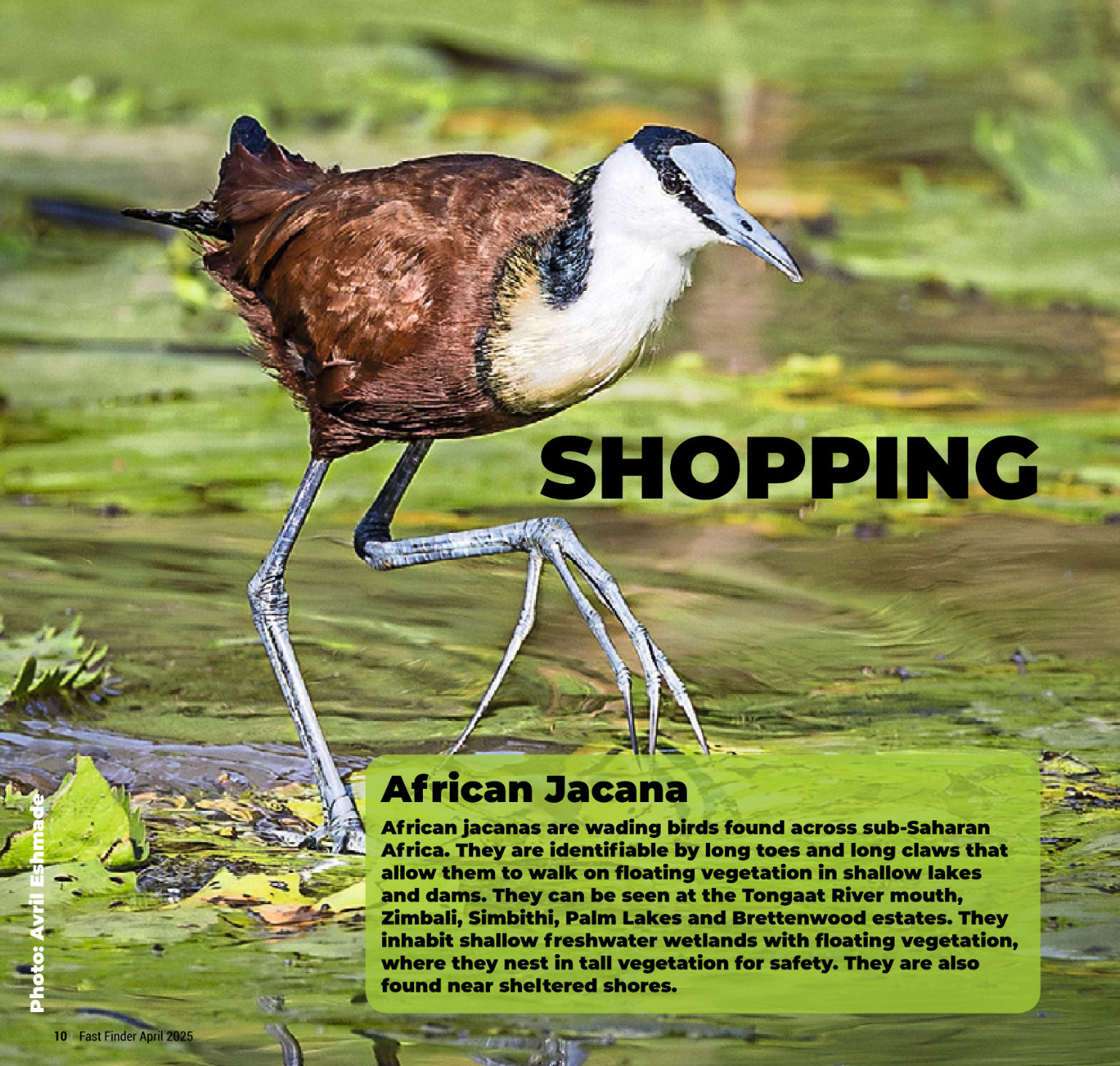 Fast Finder May 2025 page 12