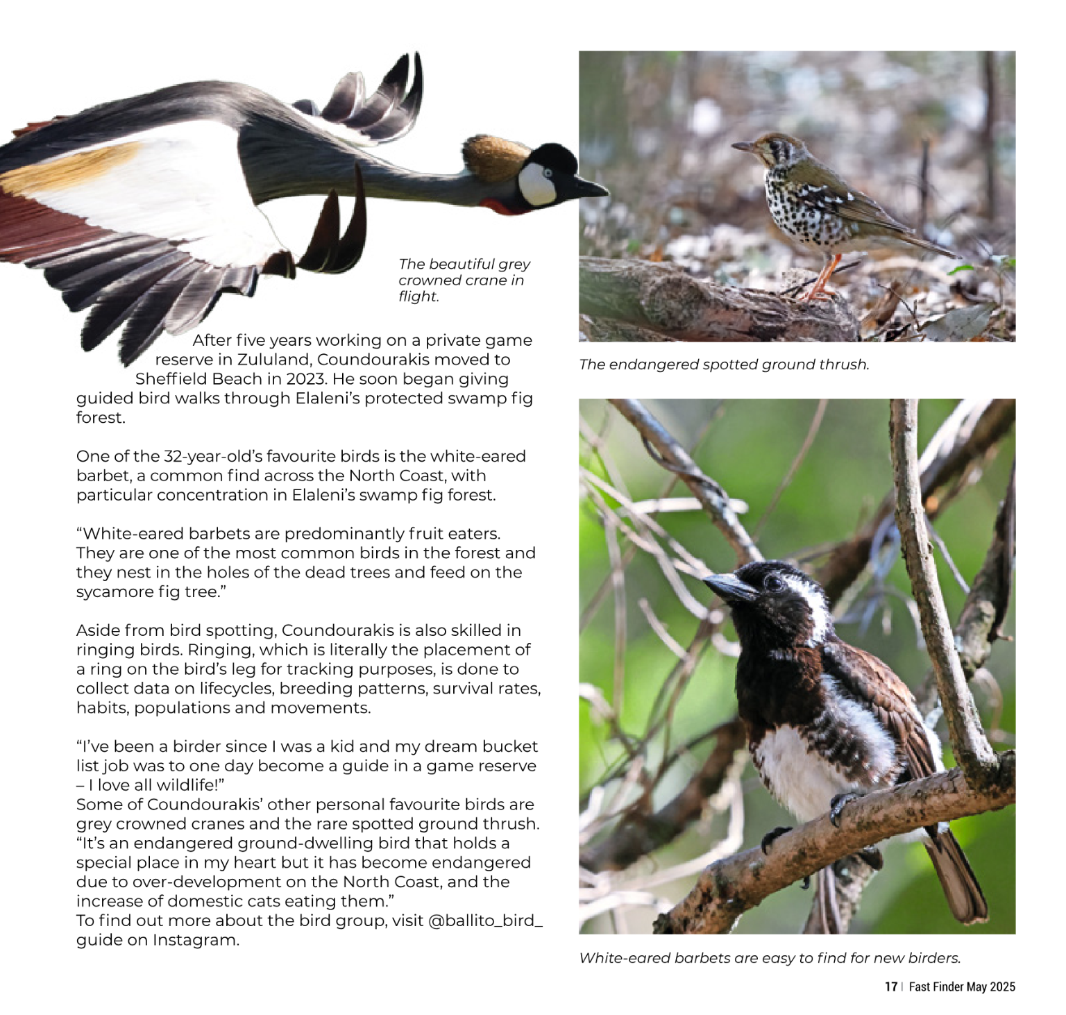 Fast Finder May 2025 page 19