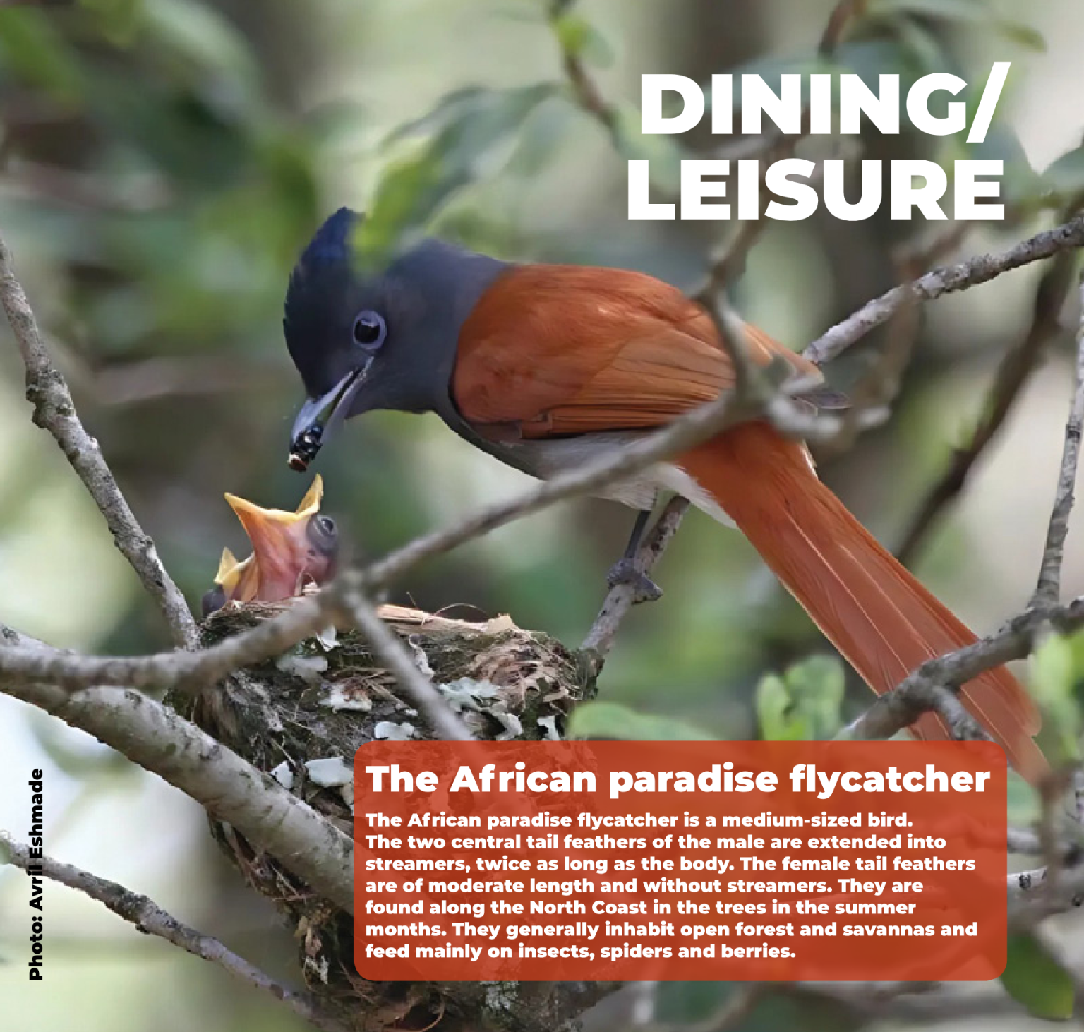 Fast Finder May 2025 page 20