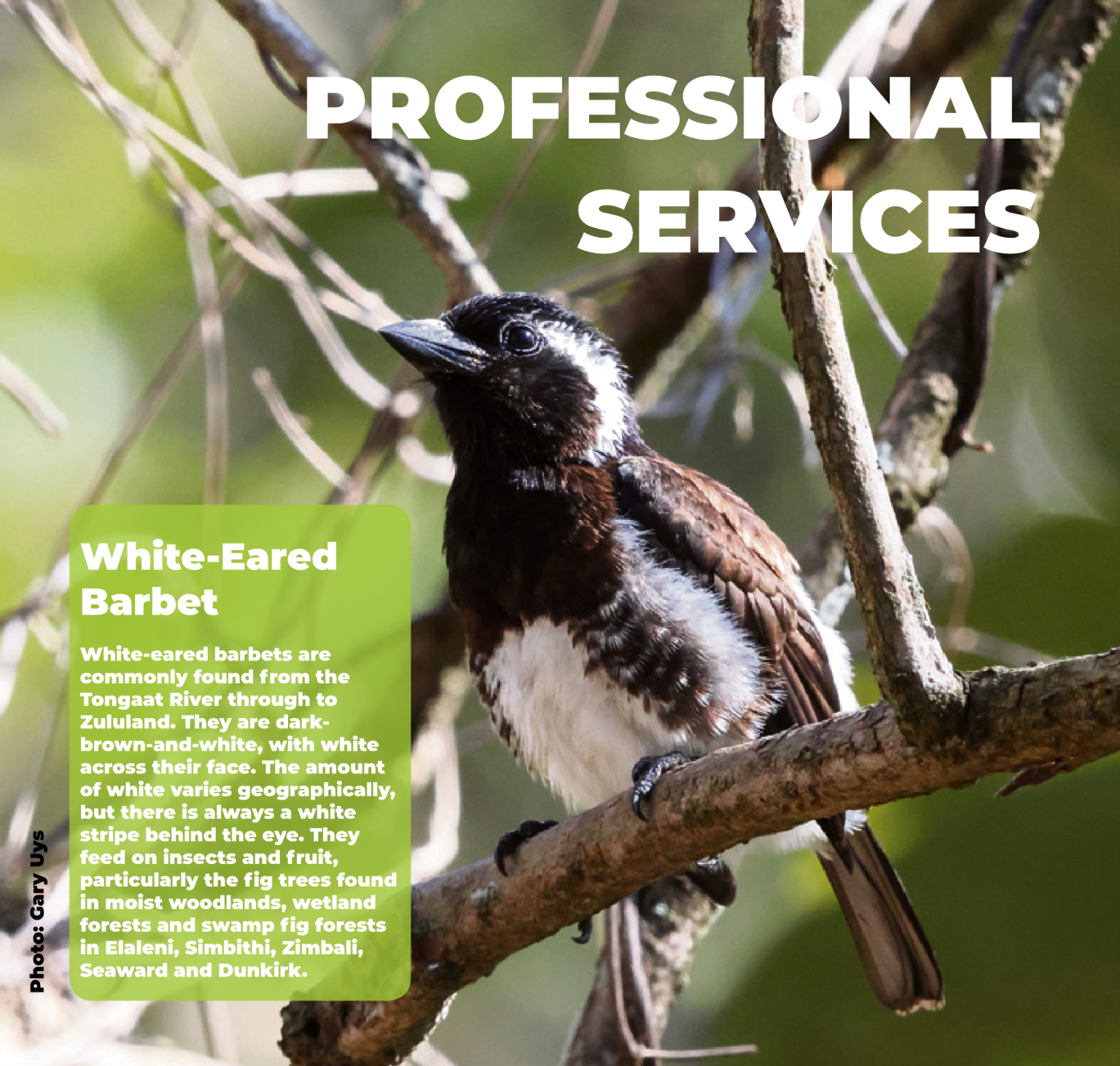 Fast Finder May 2025 page 26