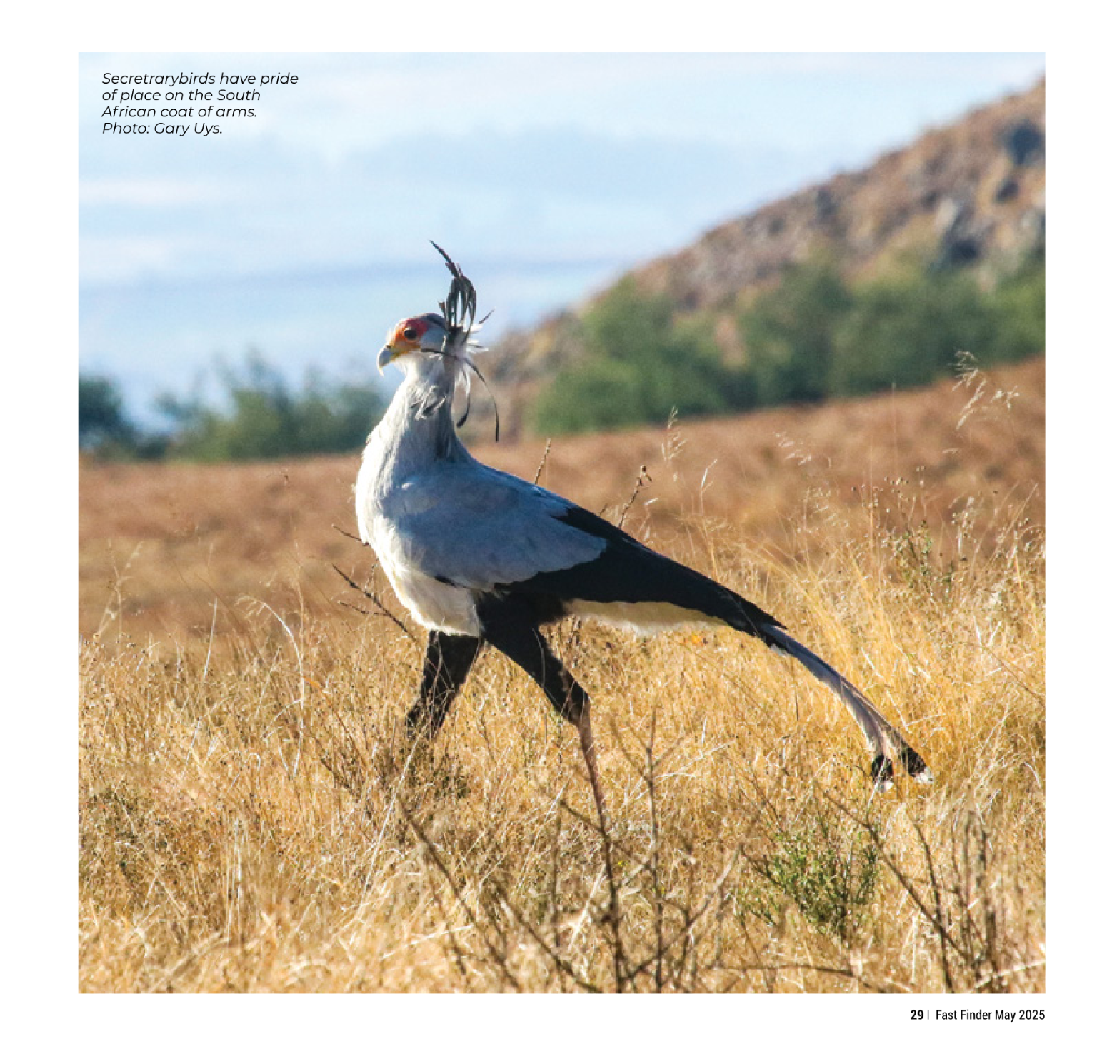 Fast Finder May 2025 page 31