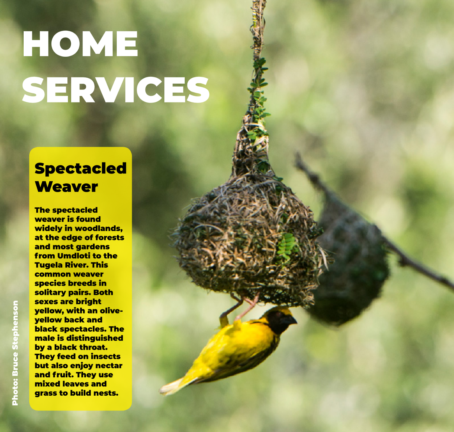 Fast Finder May 2025 page 38