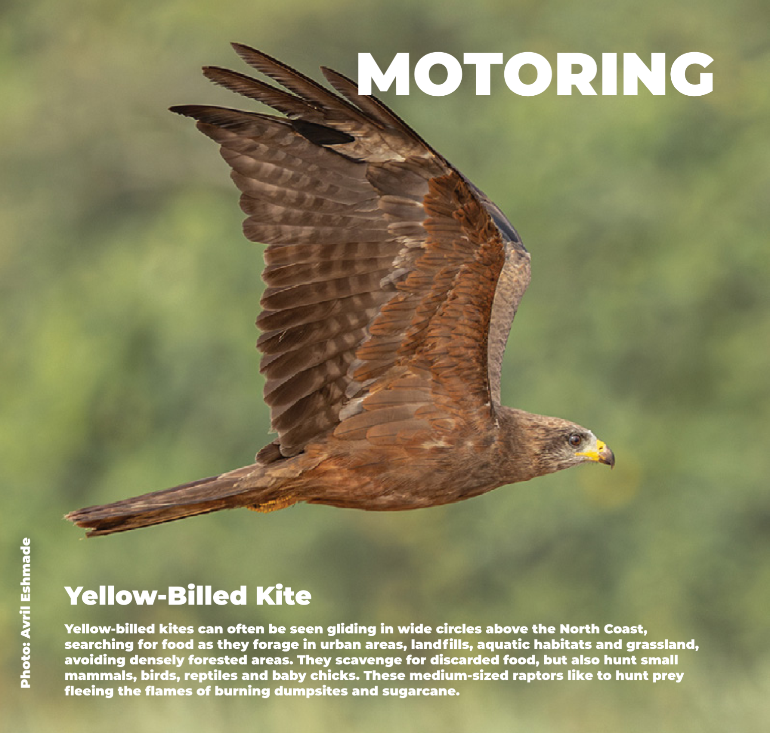 Fast Finder May 2025 page 50