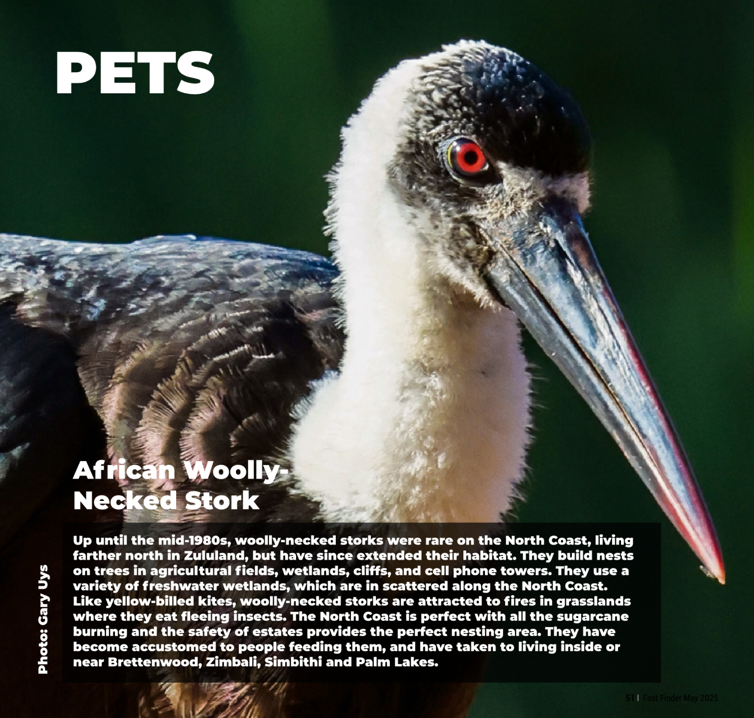 Fast Finder May 2025 page 53