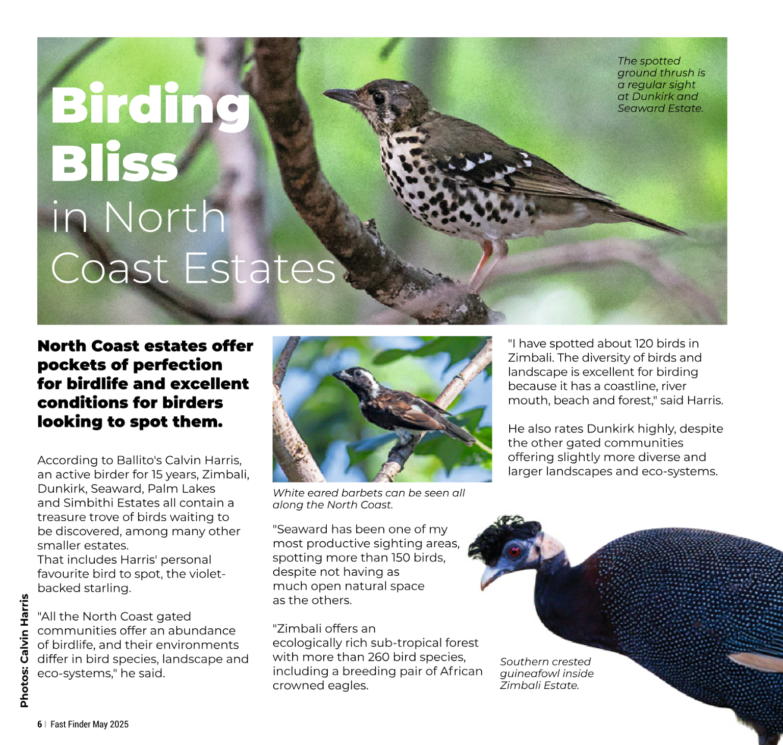 Fast Finder May 2025 page 8