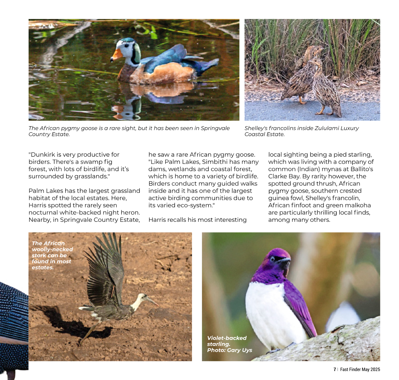 Fast Finder May 2025 page 9