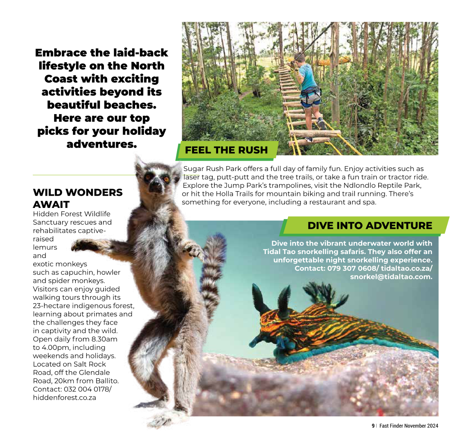 Fast Finder November 2024 page 11