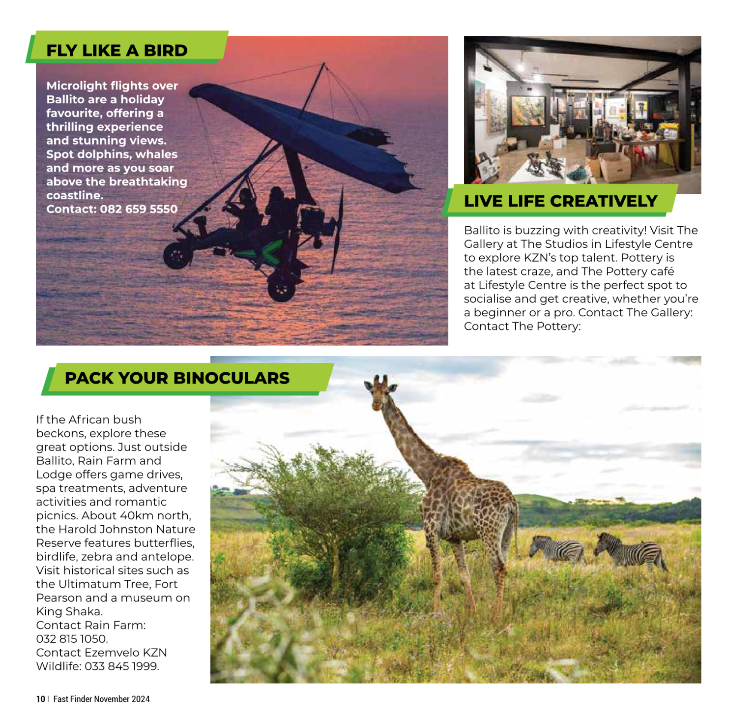Fast Finder November 2024 page 12