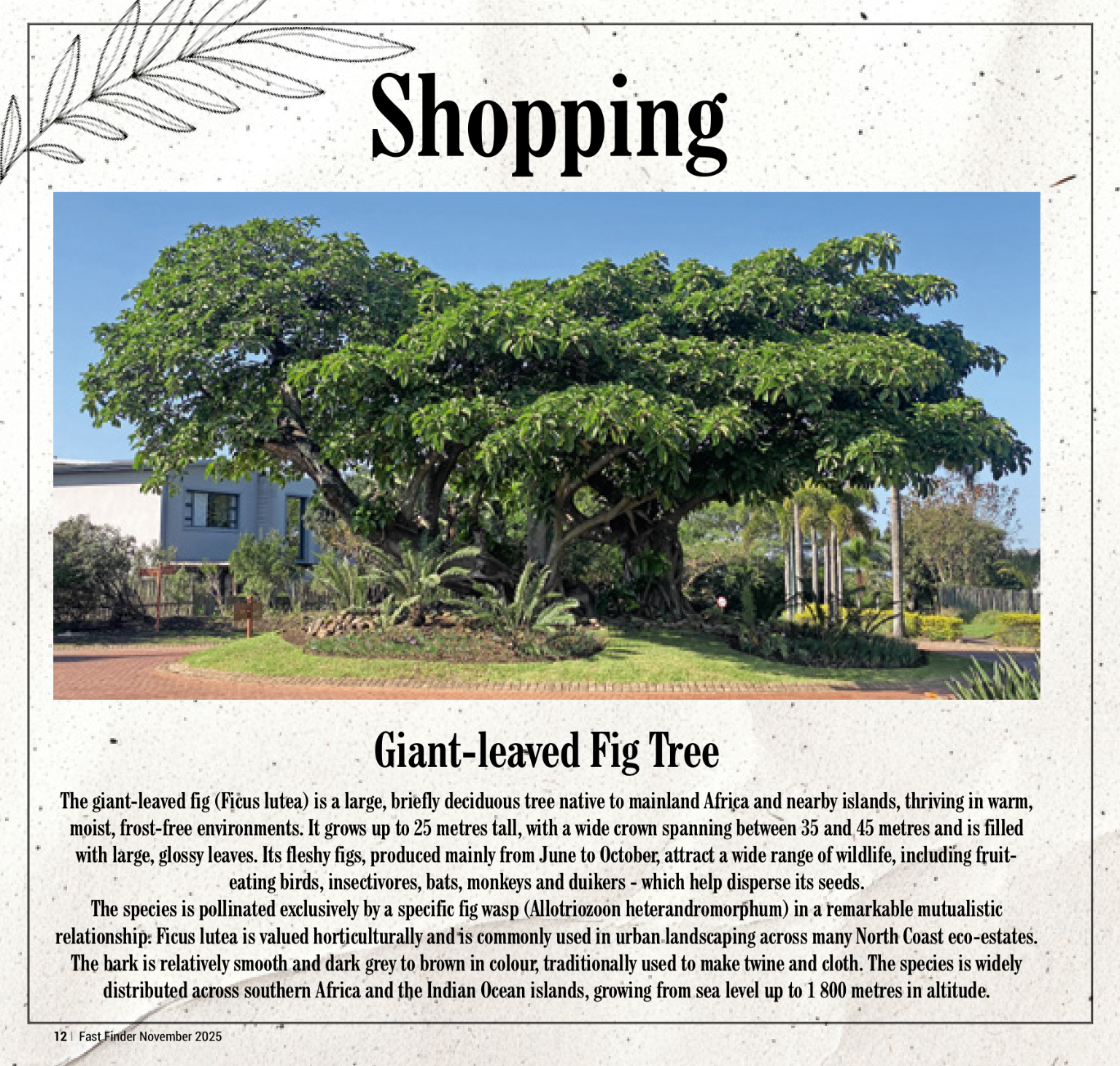 Fast Finder November 2025 page 14