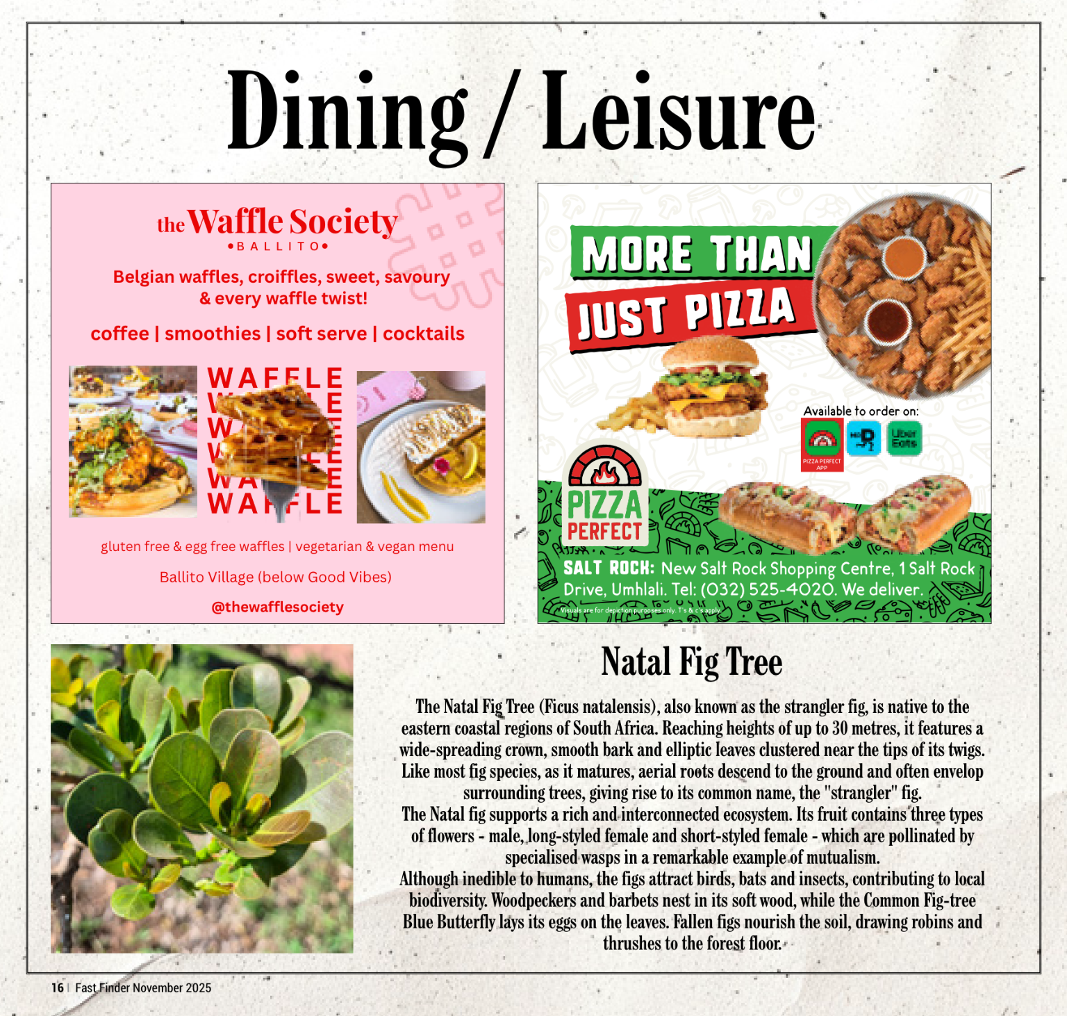 Fast Finder November 2025 page 18