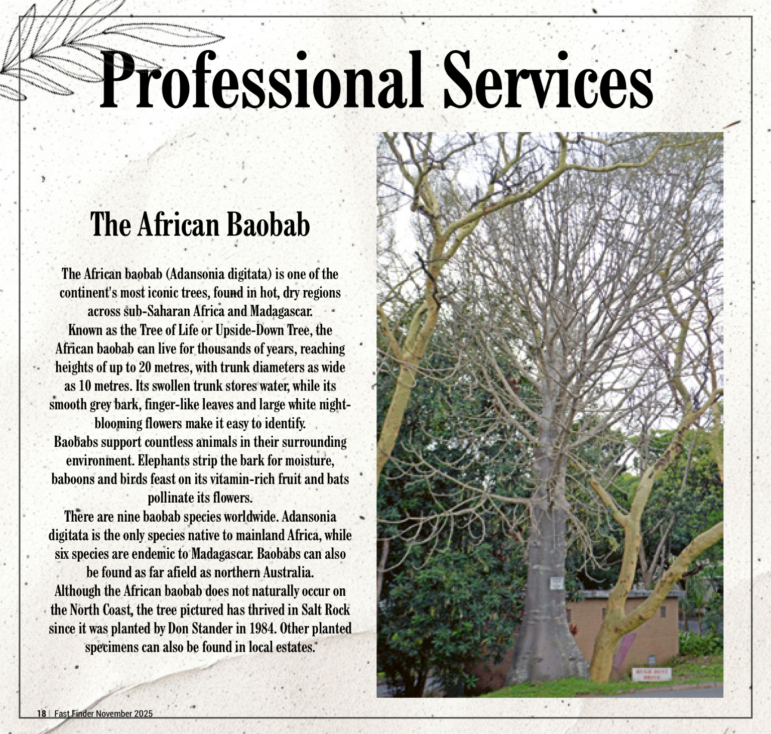 Fast Finder November 2025 page 20