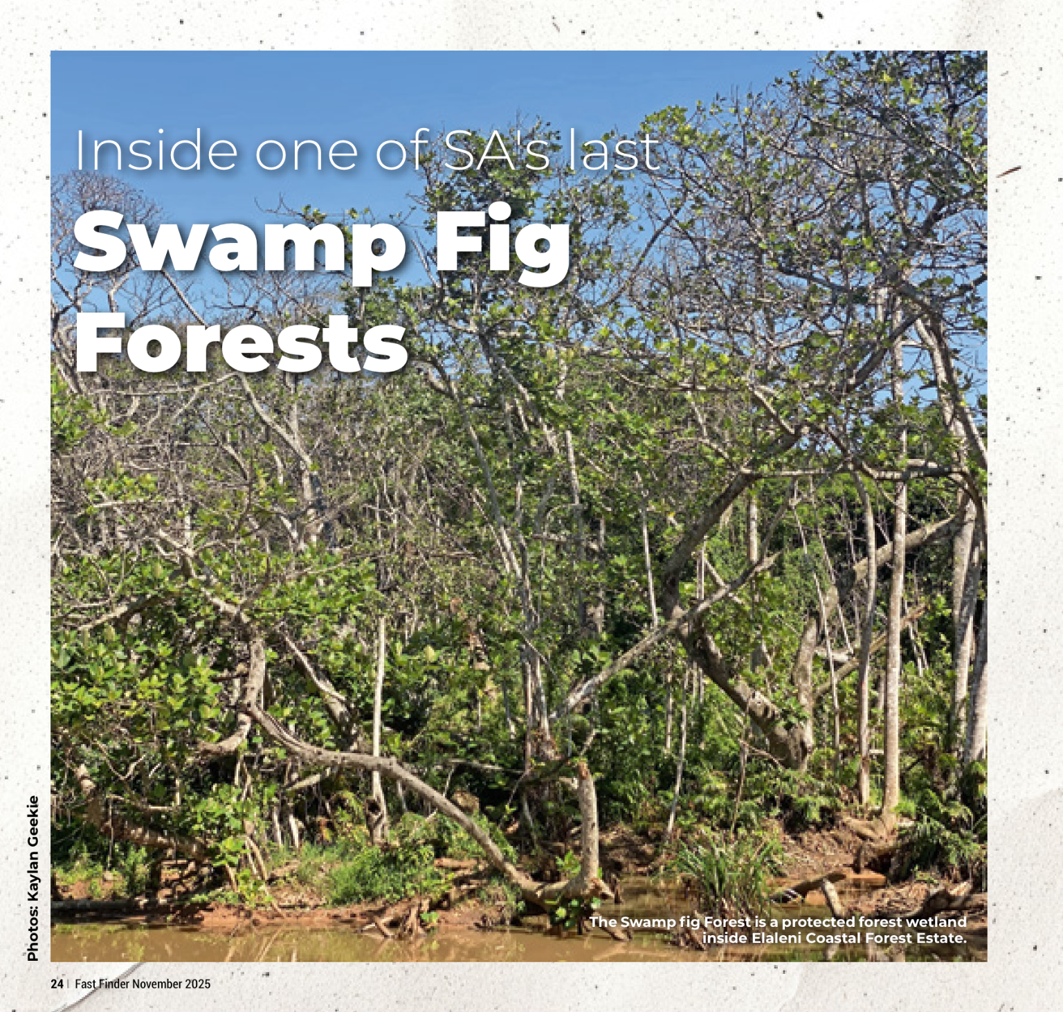 Fast Finder November 2025 page 26