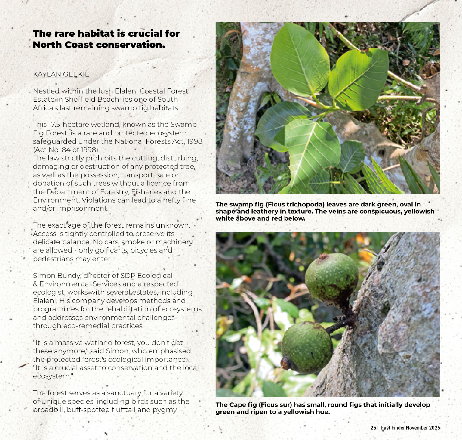 Fast Finder November 2025 page 27