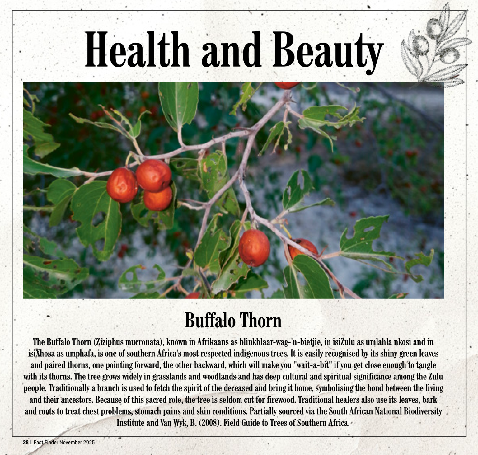 Fast Finder November 2025 page 30