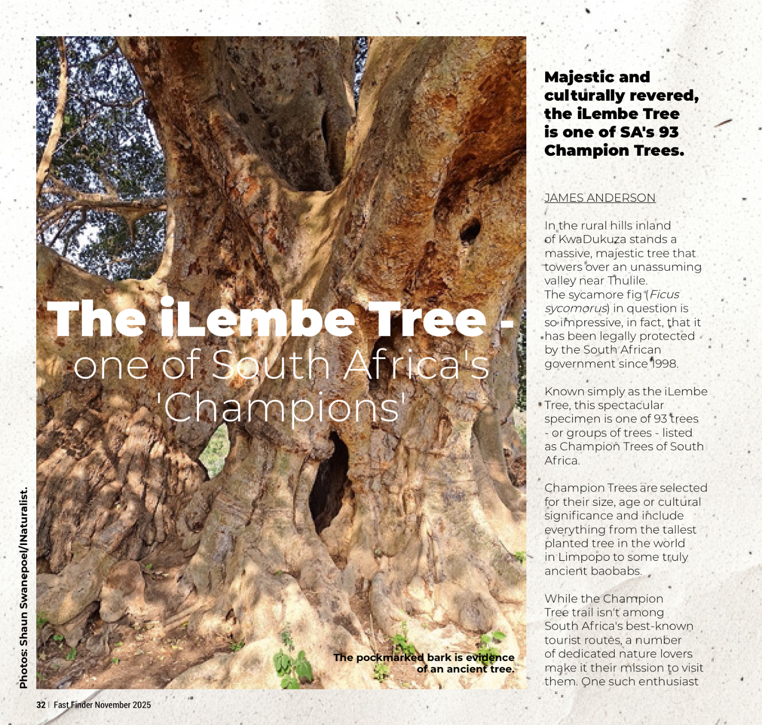 Fast Finder November 2025 page 34