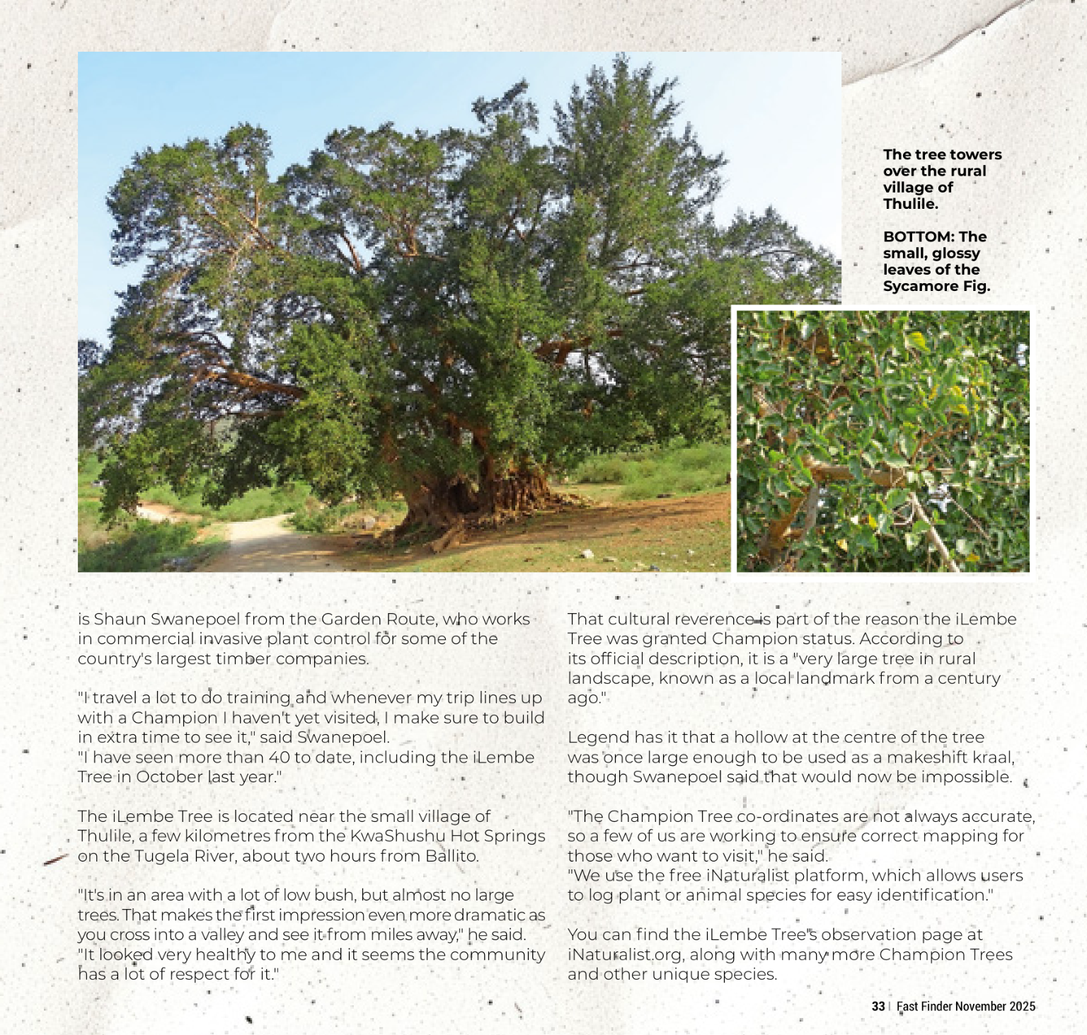 Fast Finder November 2025 page 35