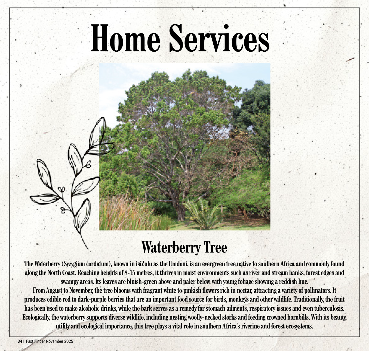 Fast Finder November 2025 page 36