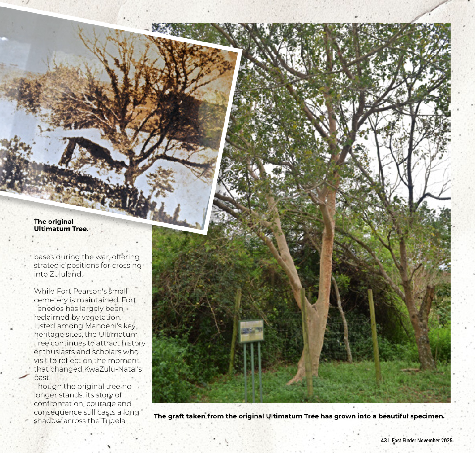 Fast Finder November 2025 page 45