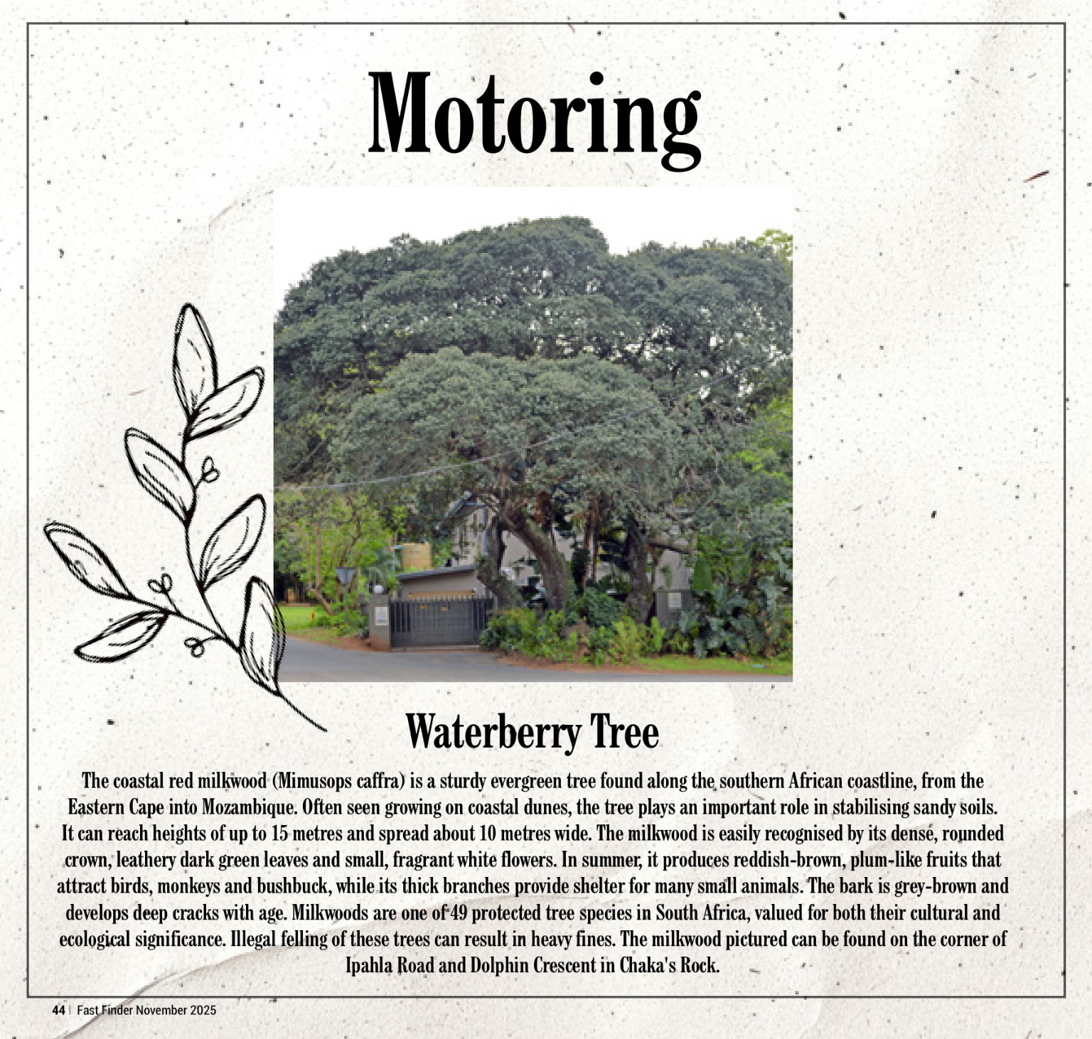 Fast Finder November 2025 page 46