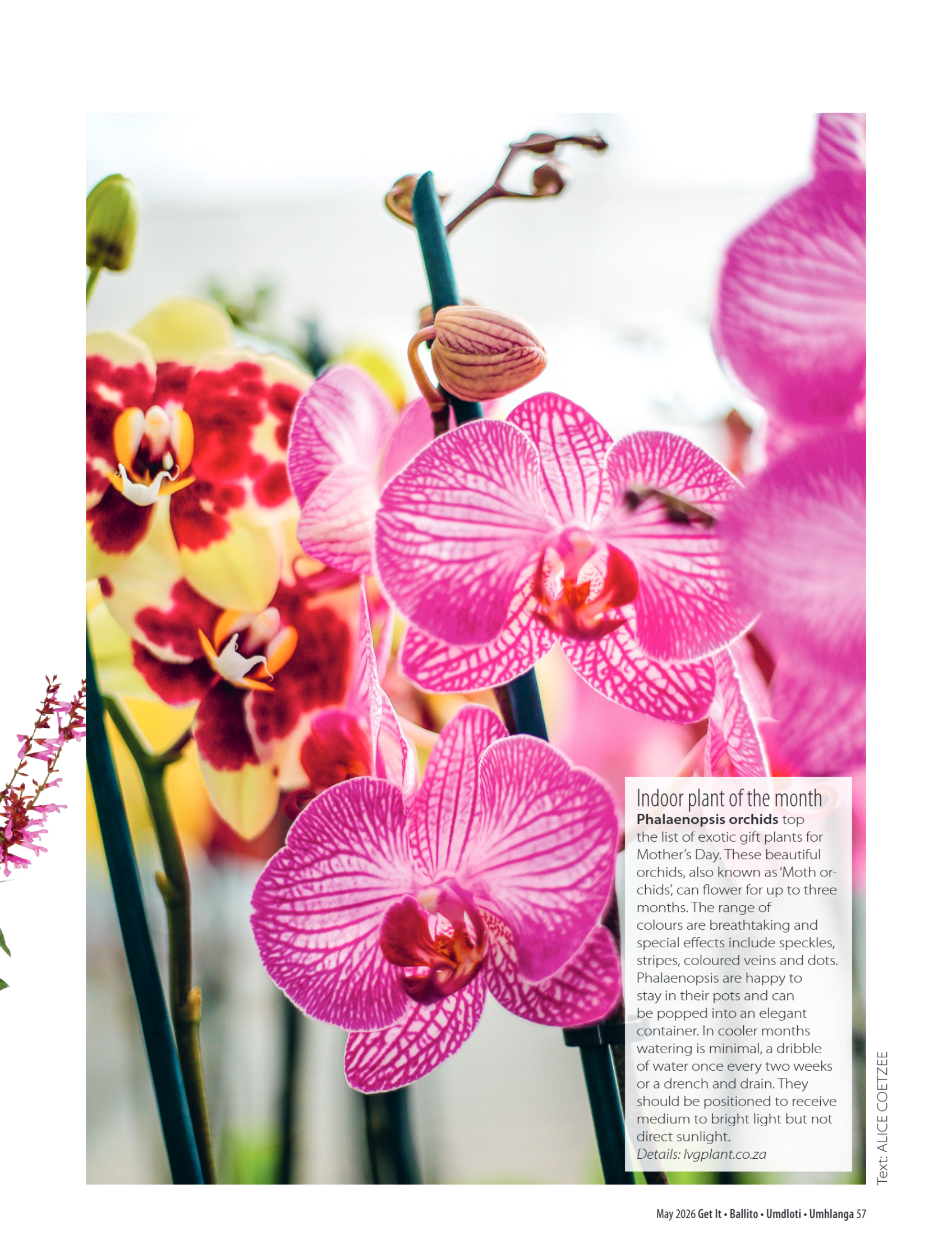 GetIt Ballito Umdloti Umhlanga – May 2026_web page 59