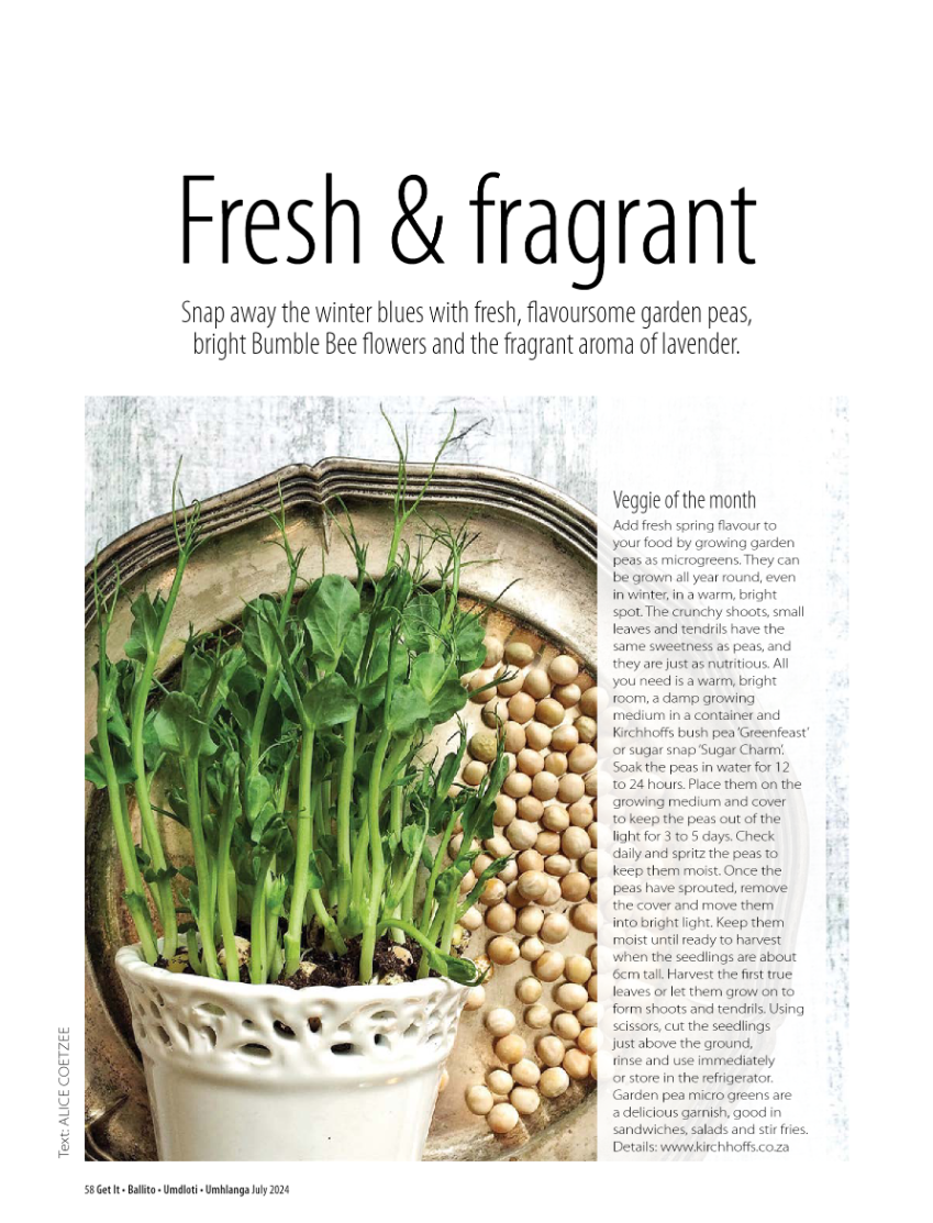 Get It Ballito Umdloti Umhlanga July 2024 page 60