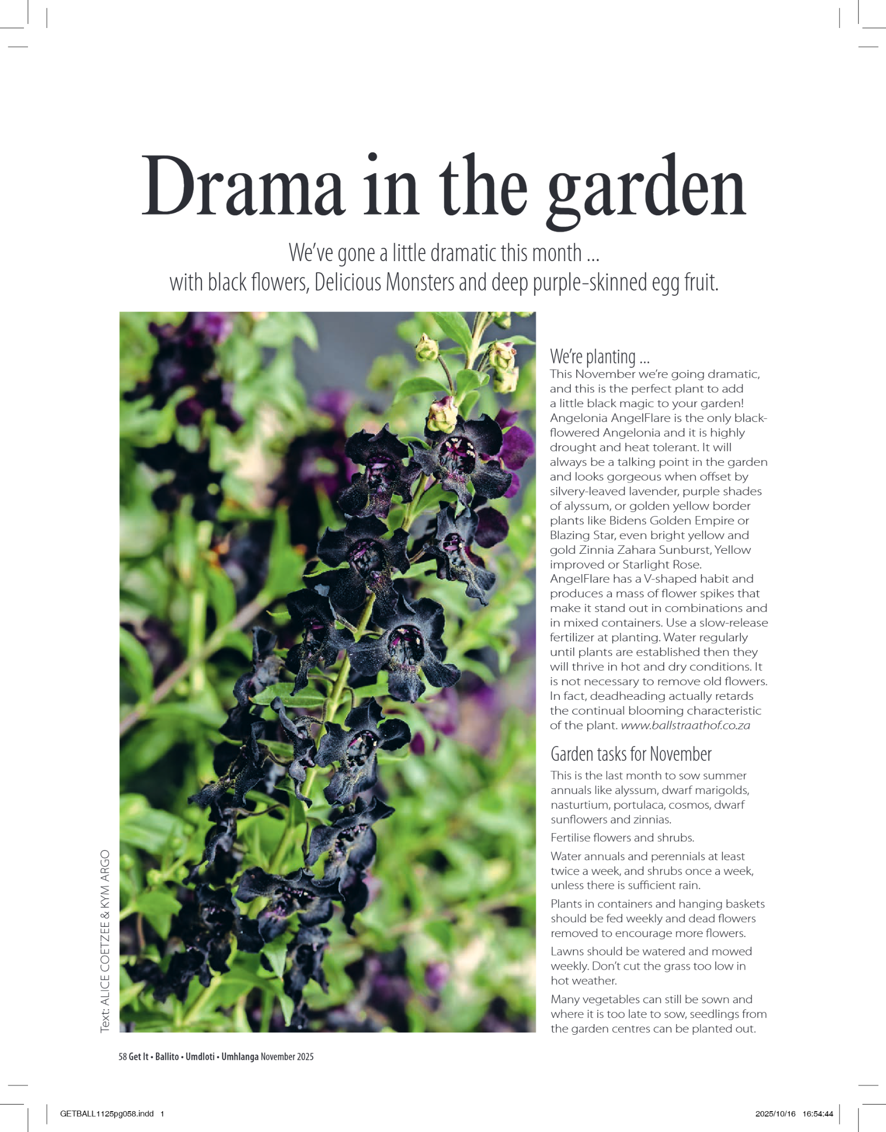 Get It Ballito Umdloti Umhlanga November 2025 page 60