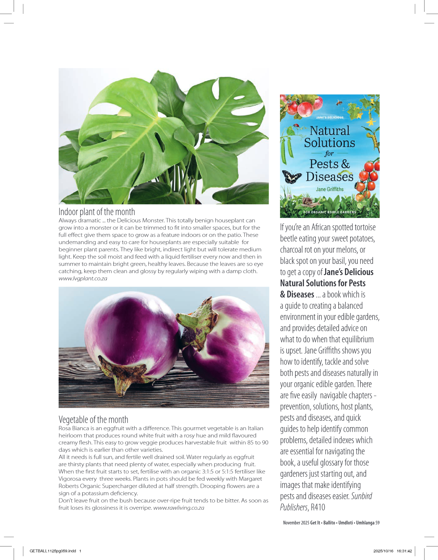 Get It Ballito Umdloti Umhlanga November 2025 page 61