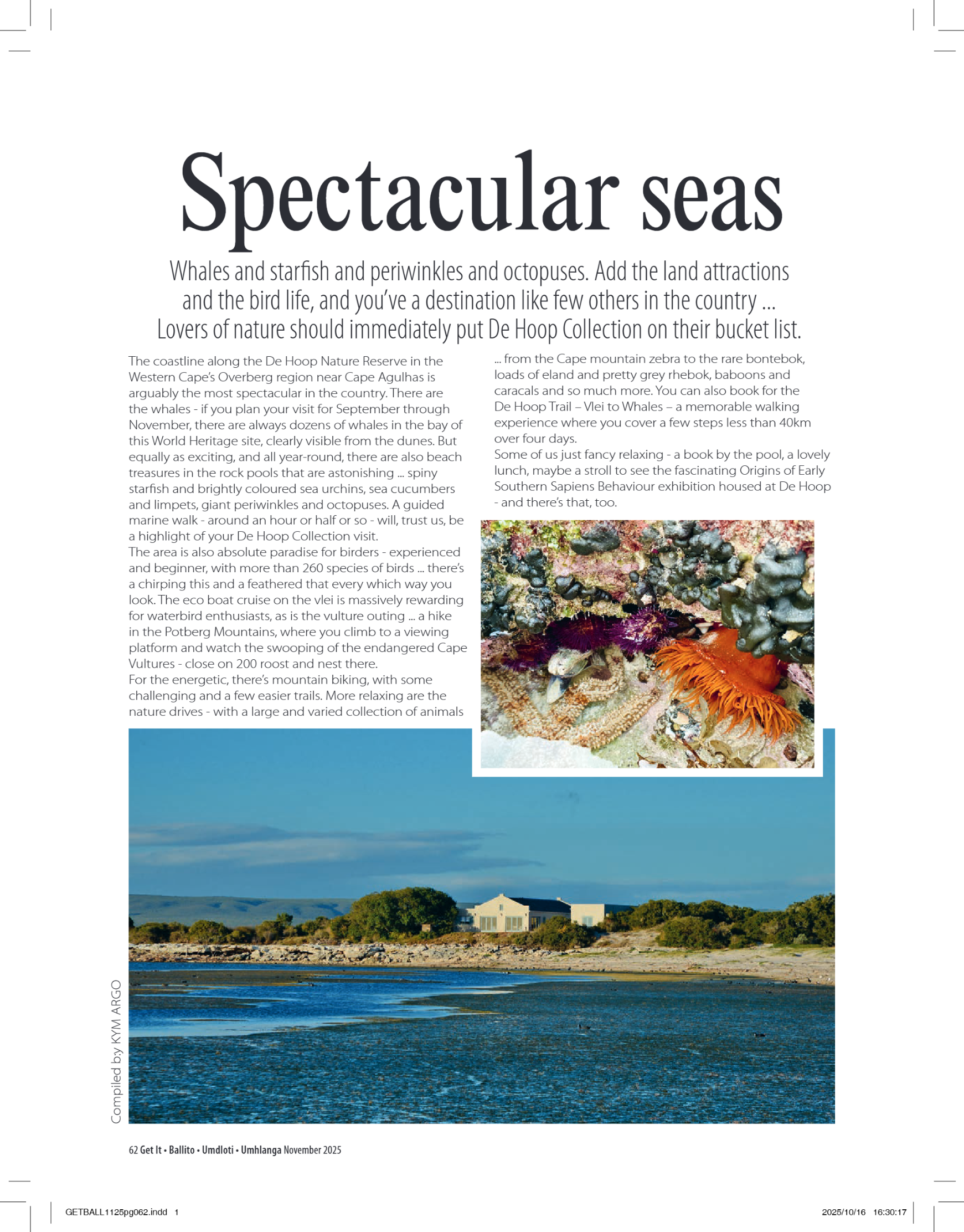 Get It Ballito Umdloti Umhlanga November 2025 page 64
