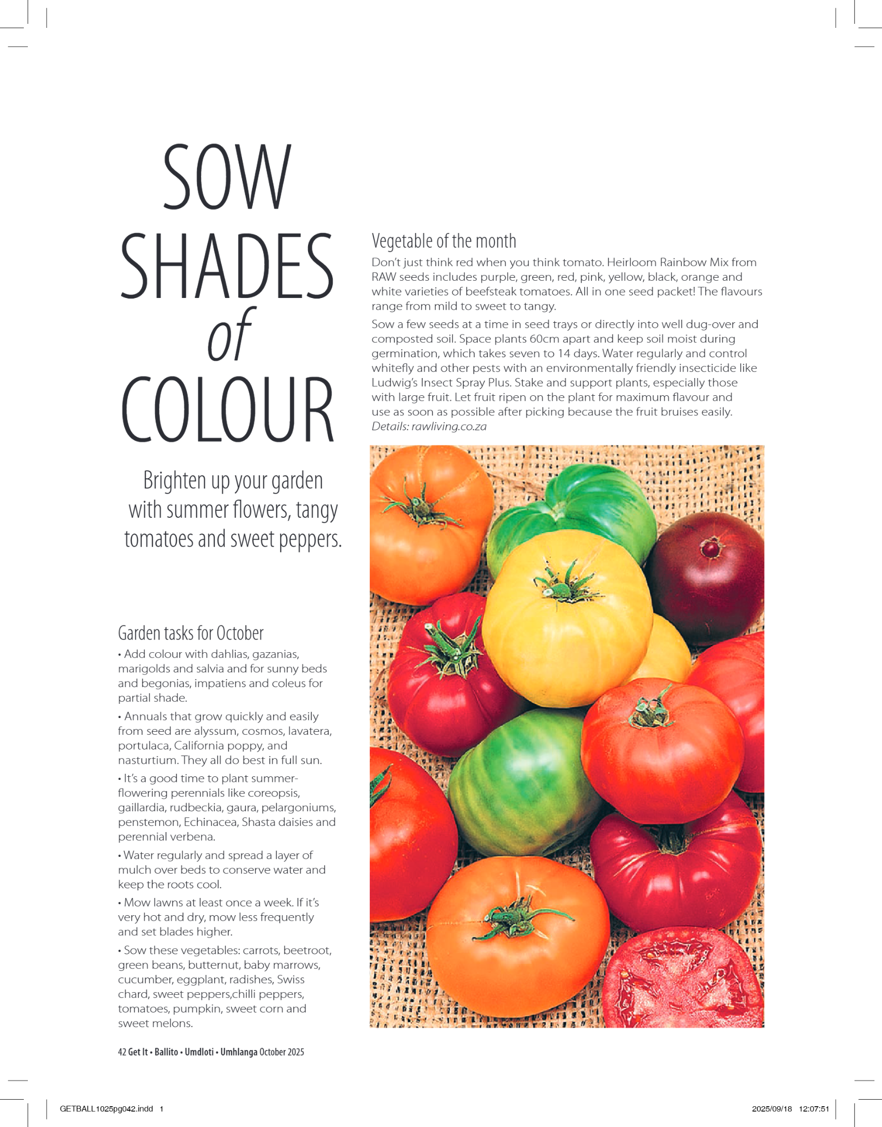 Get It Ballito Umdloti Umhlanga October 2025 page 44