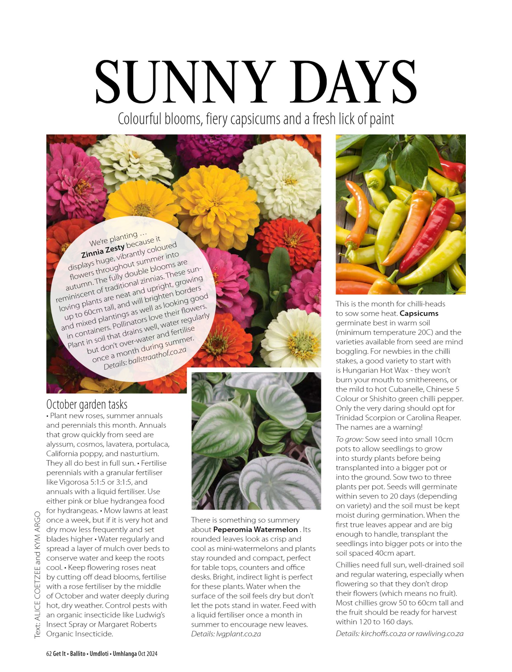 Get It Ballito Umdloti Umhlanga October 2024 page 64