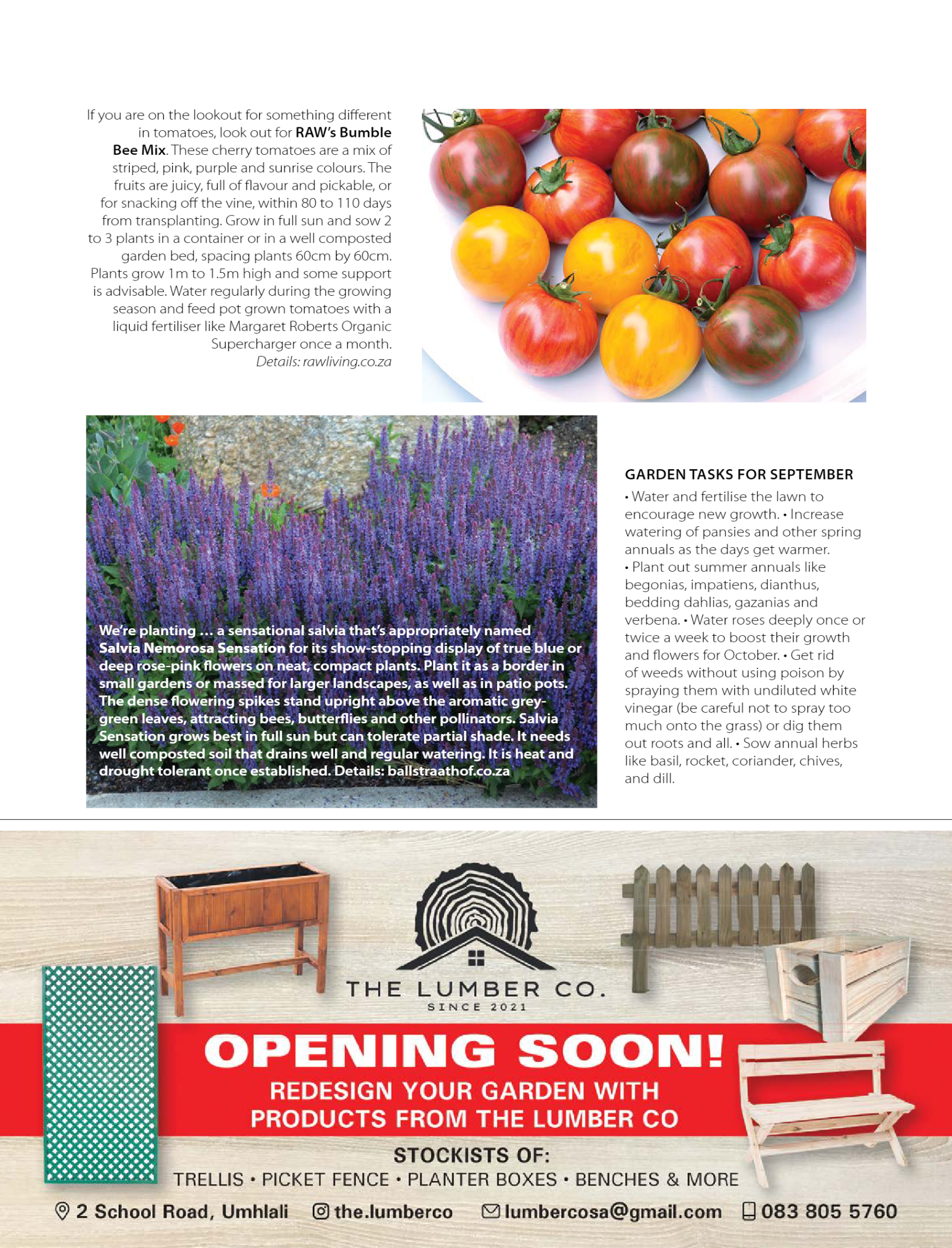 Get It Ballito Umdloti Umhlanga September 2024 page 53