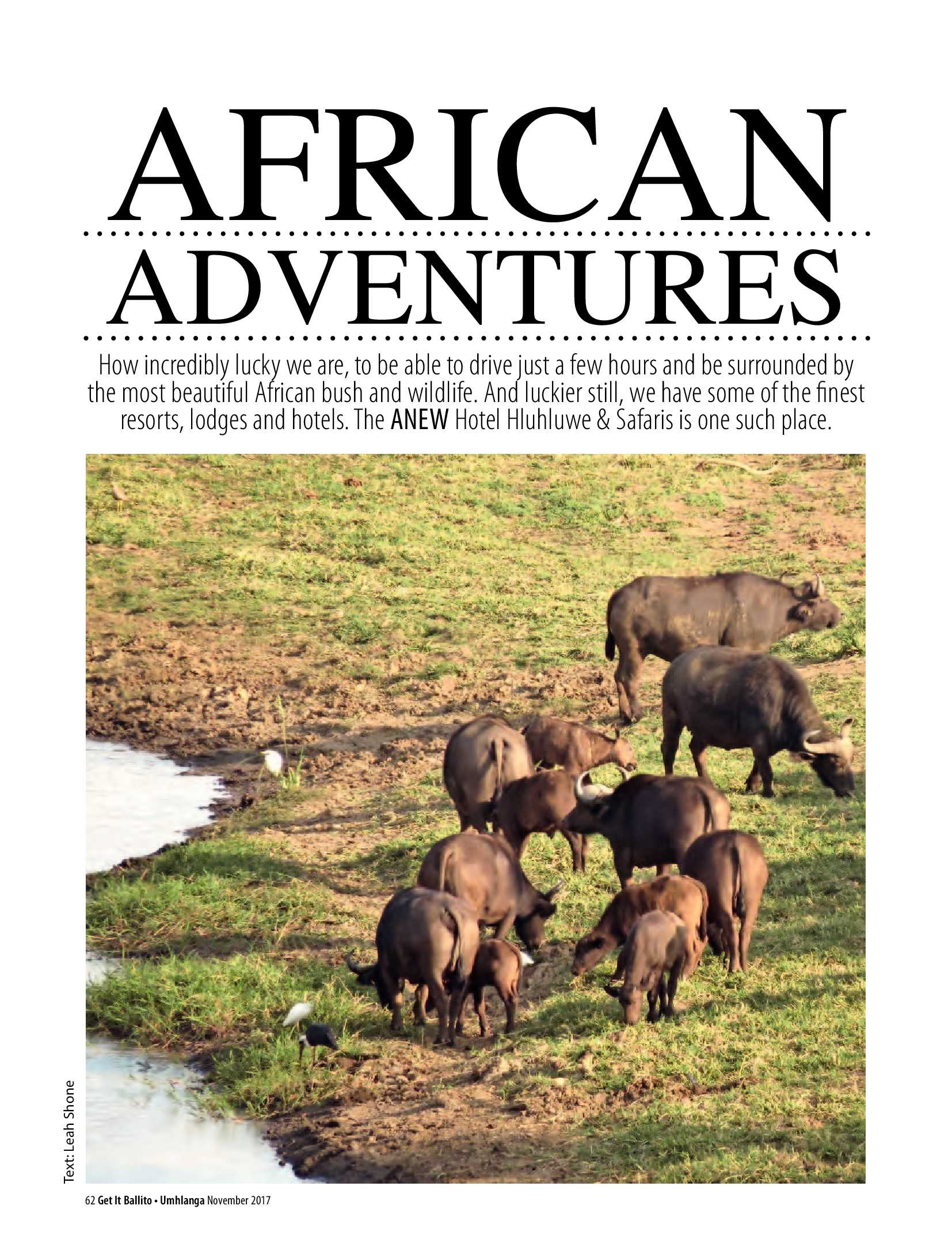 African Safari Magazine African Safari Magazine