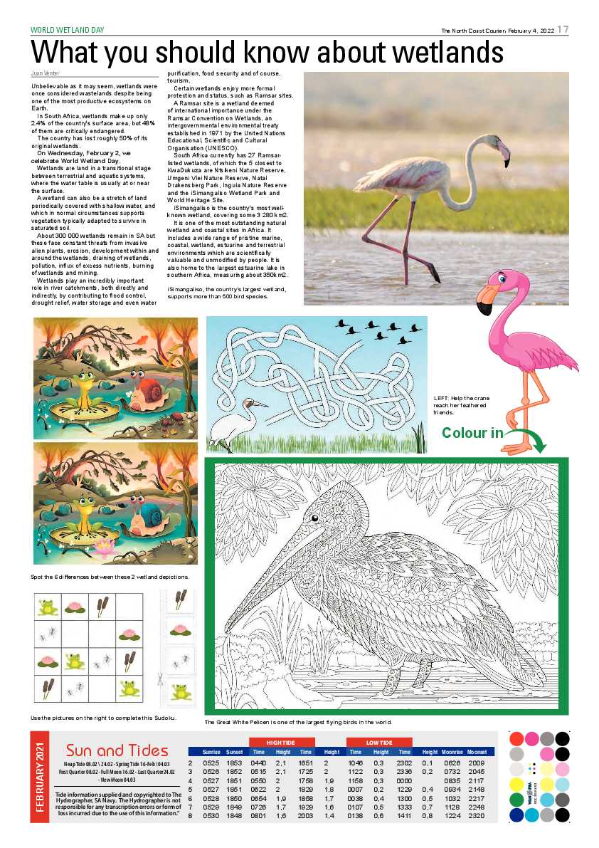 North Coast Courier 04 February 2022 page 17