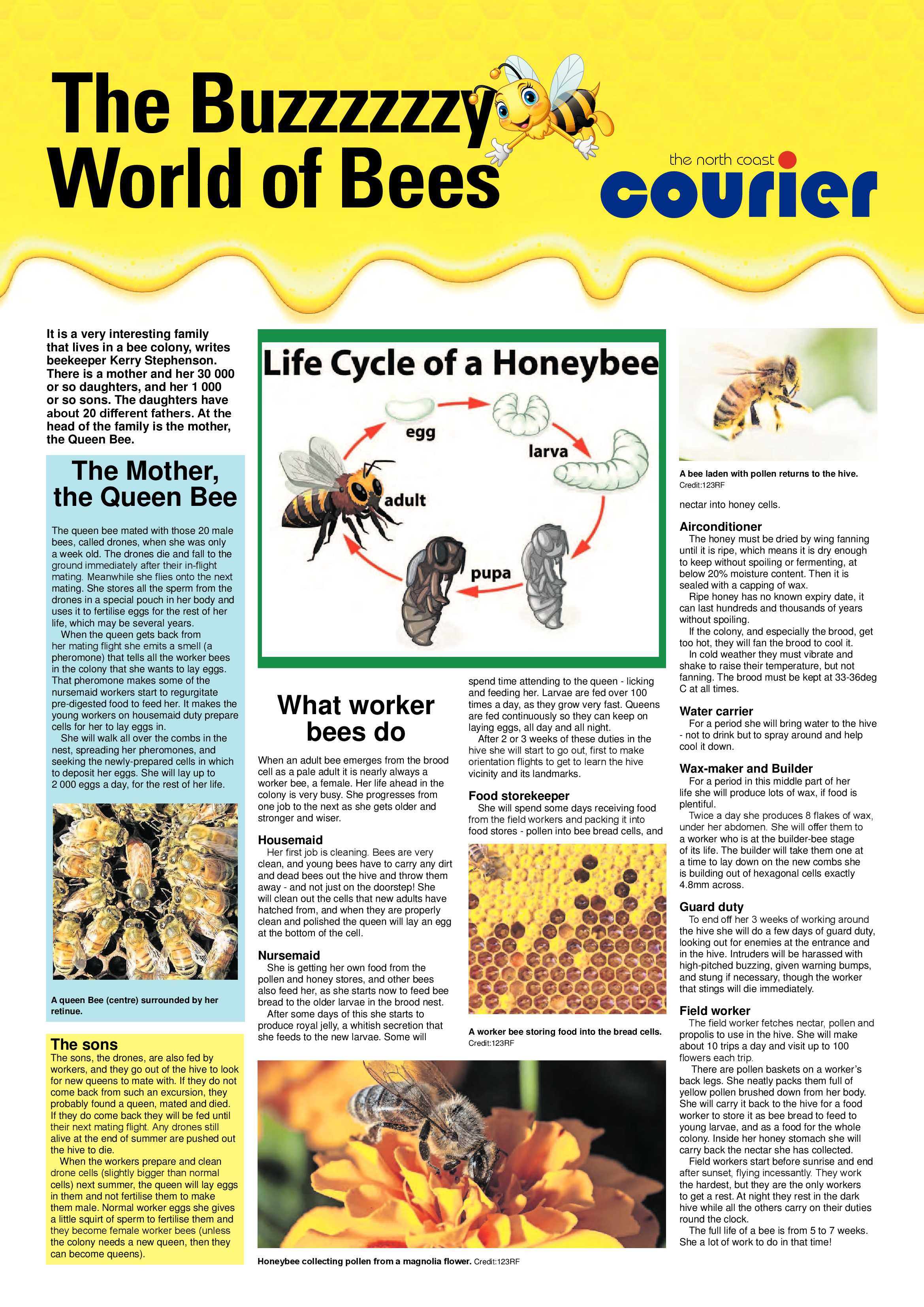 North Coast Courier 05 February 2021 page 26