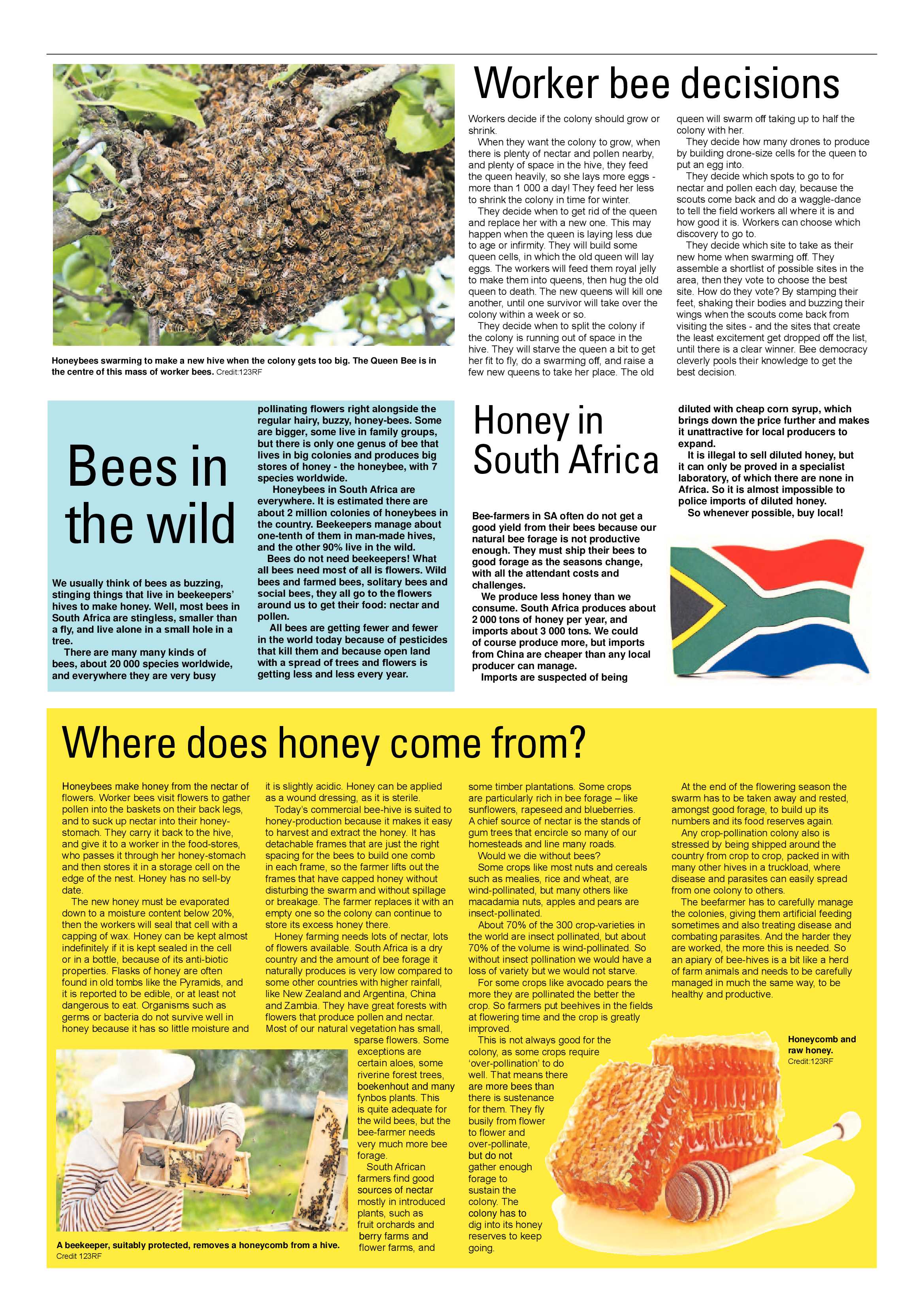 North Coast Courier 05 February 2021 page 27