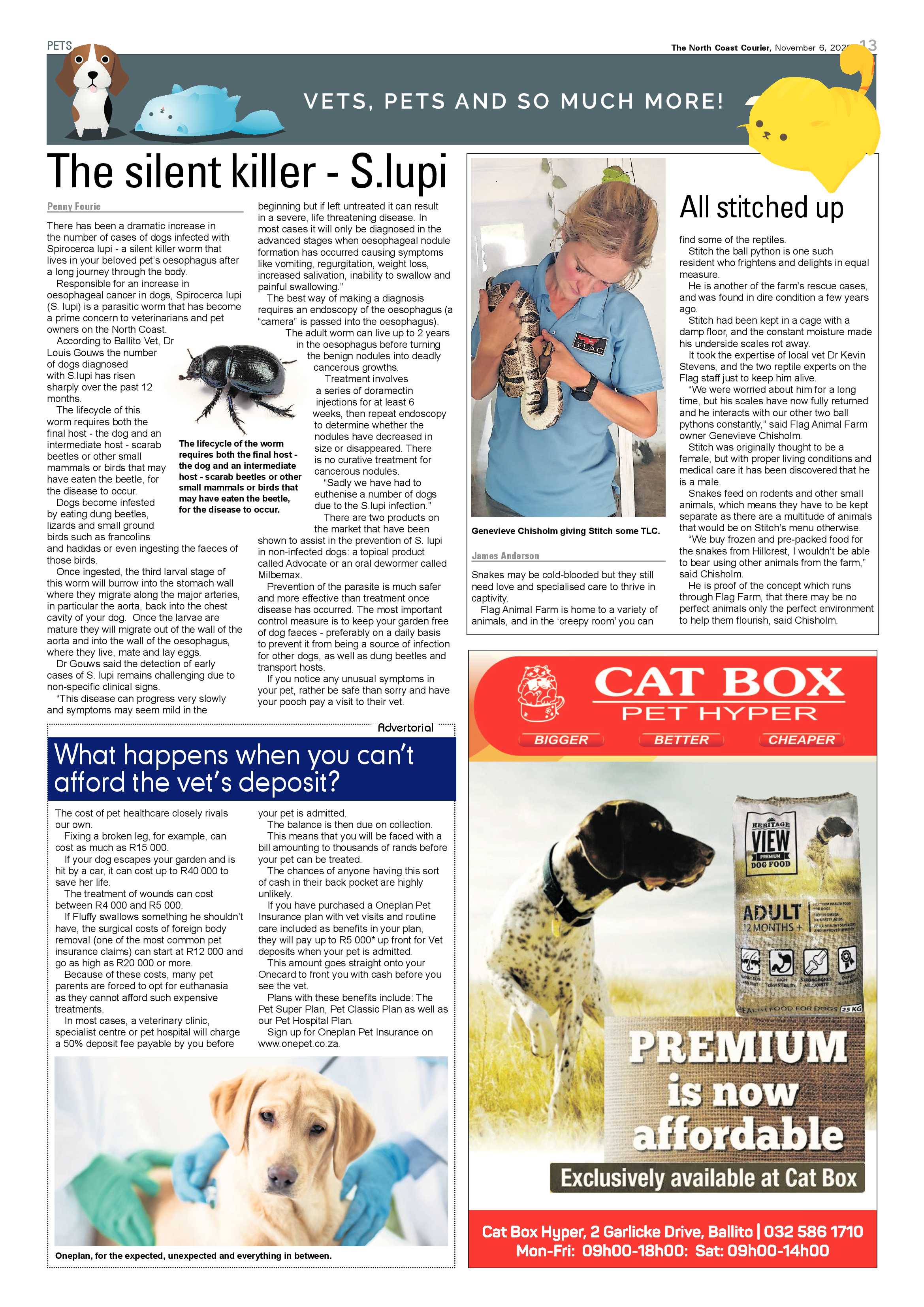 North Coast Courier 06 November 2020 page 13