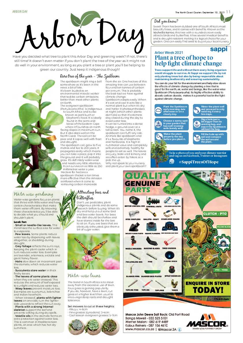 North Coast Courier 10 September 2021 page 11