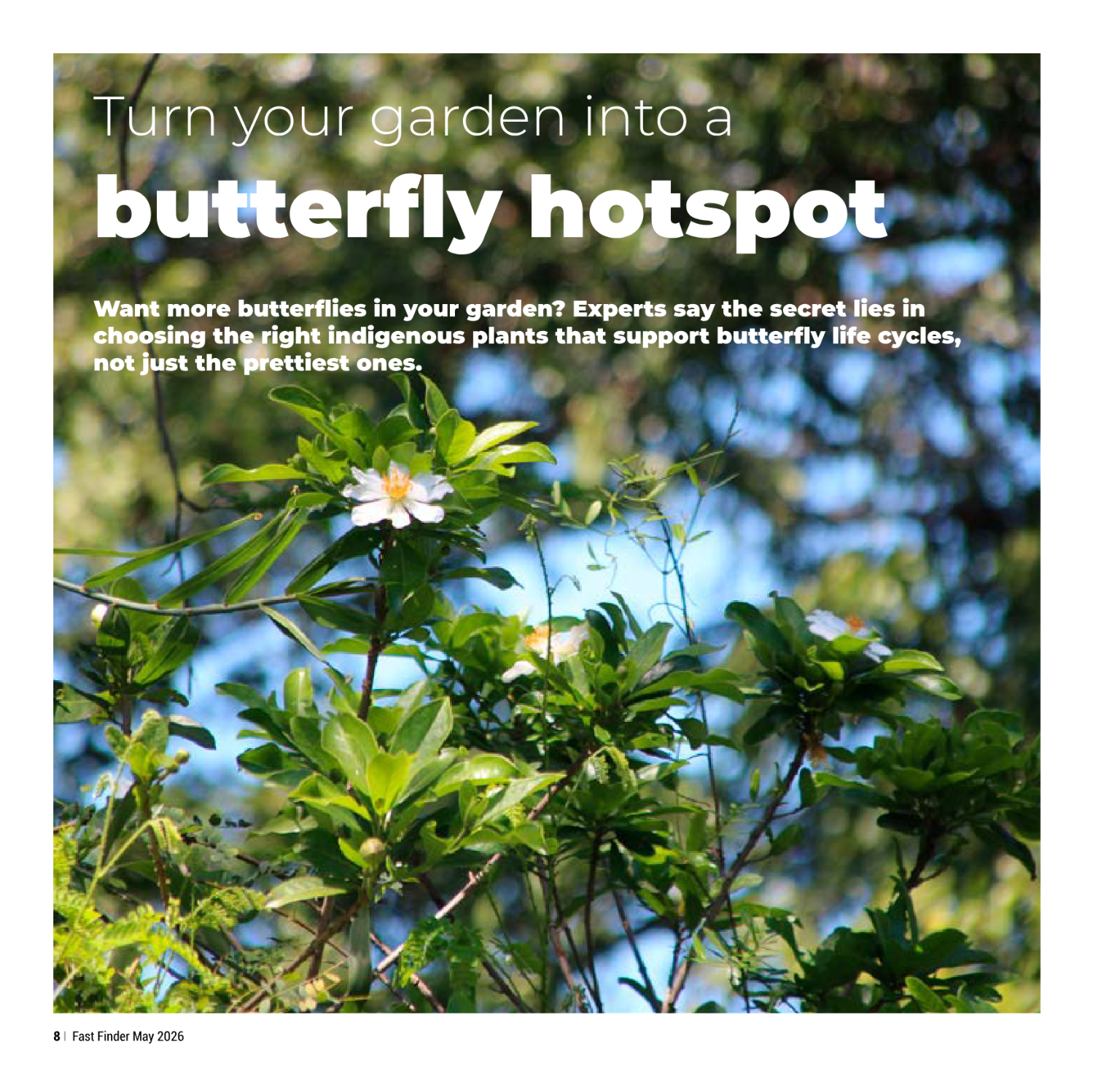 Fast Finder – May 2026 page 10