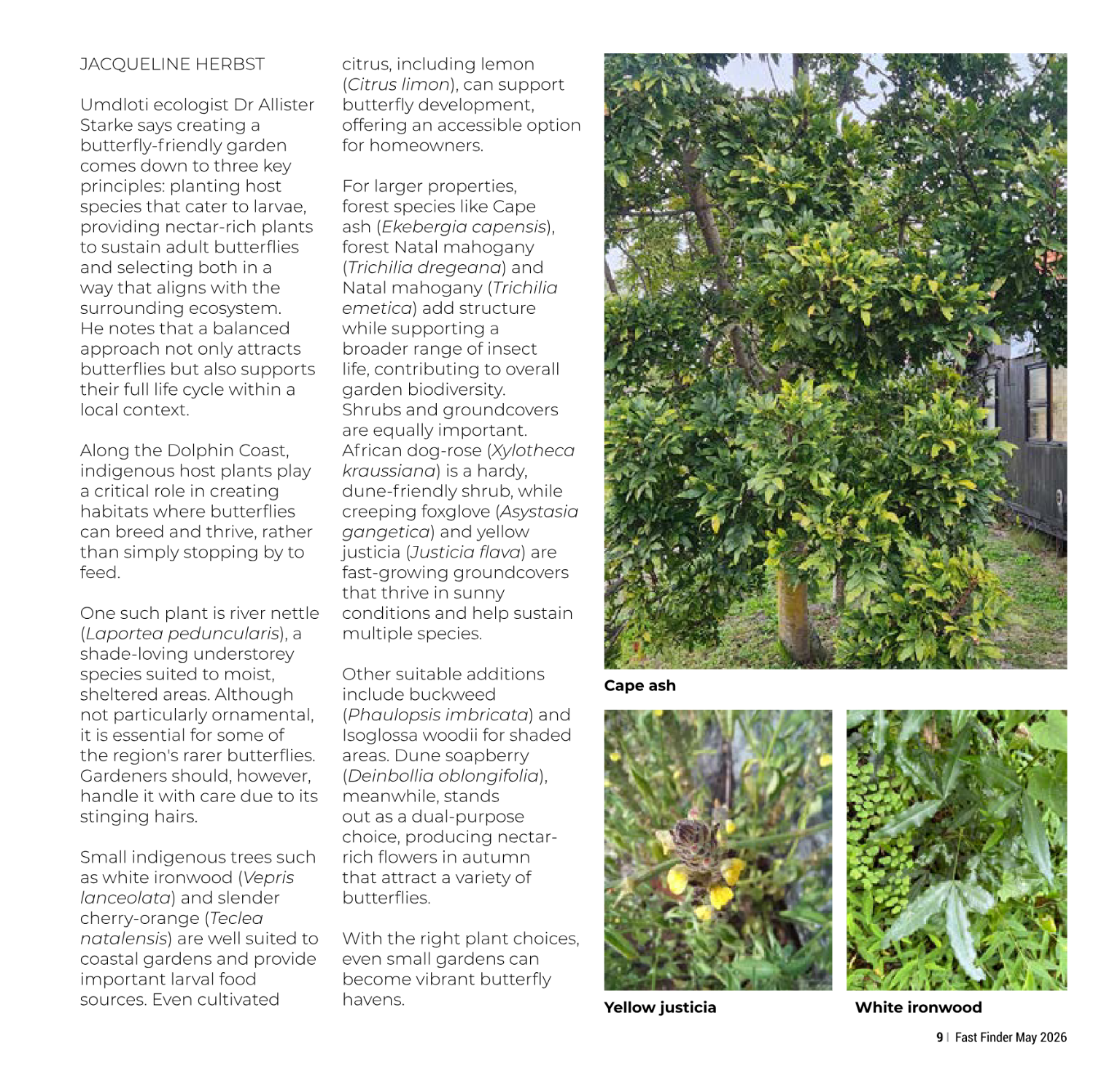 Fast Finder – May 2026 page 11