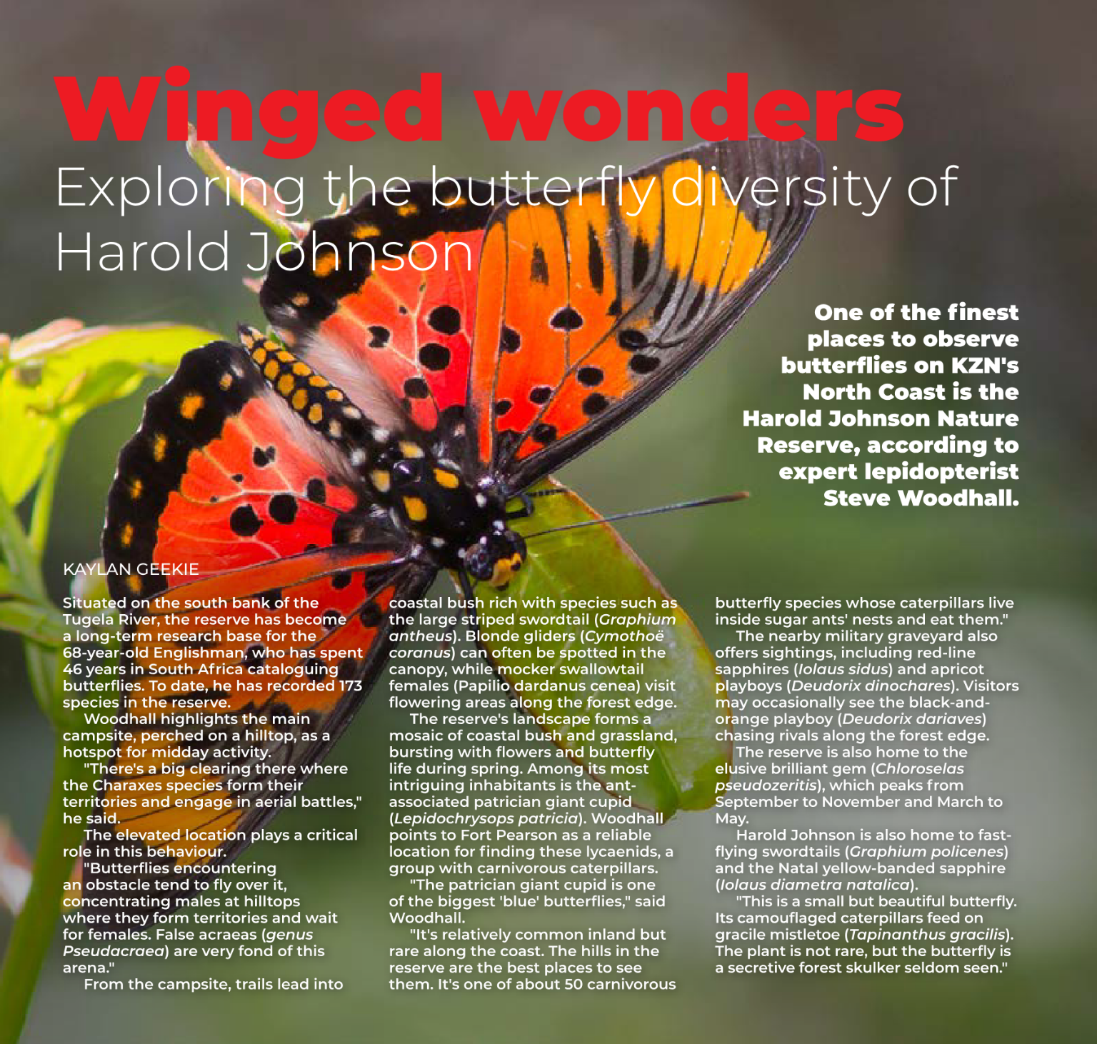 Fast Finder – May 2026 page 22