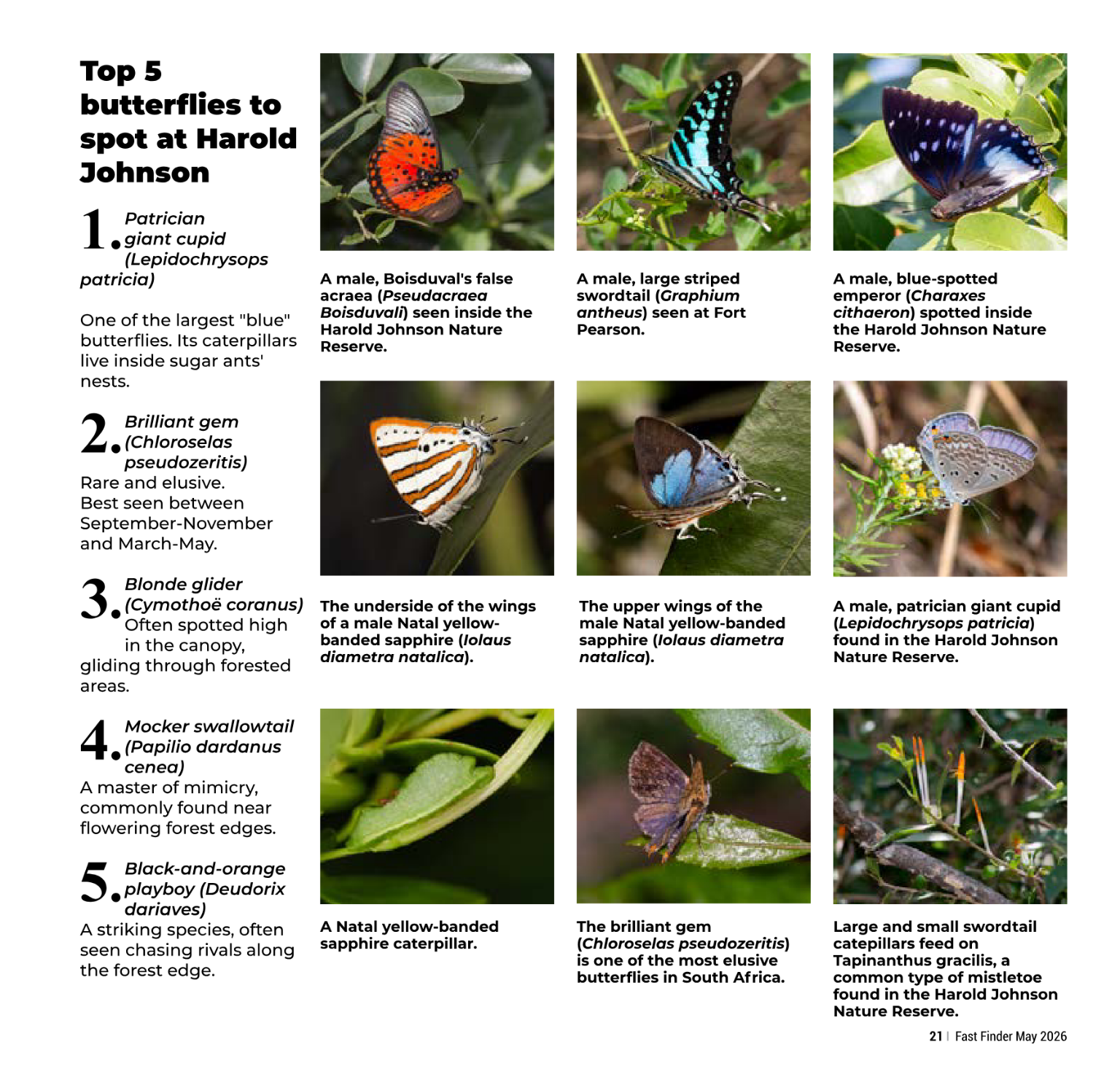 Fast Finder – May 2026 page 23