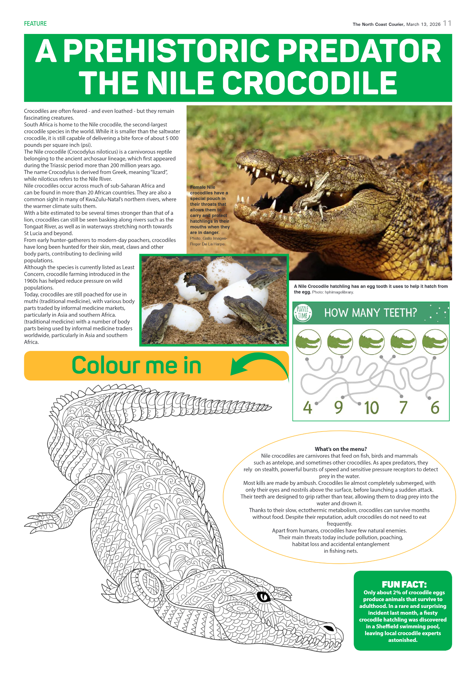 The North Coast Courier – 13 March 2026 page 11