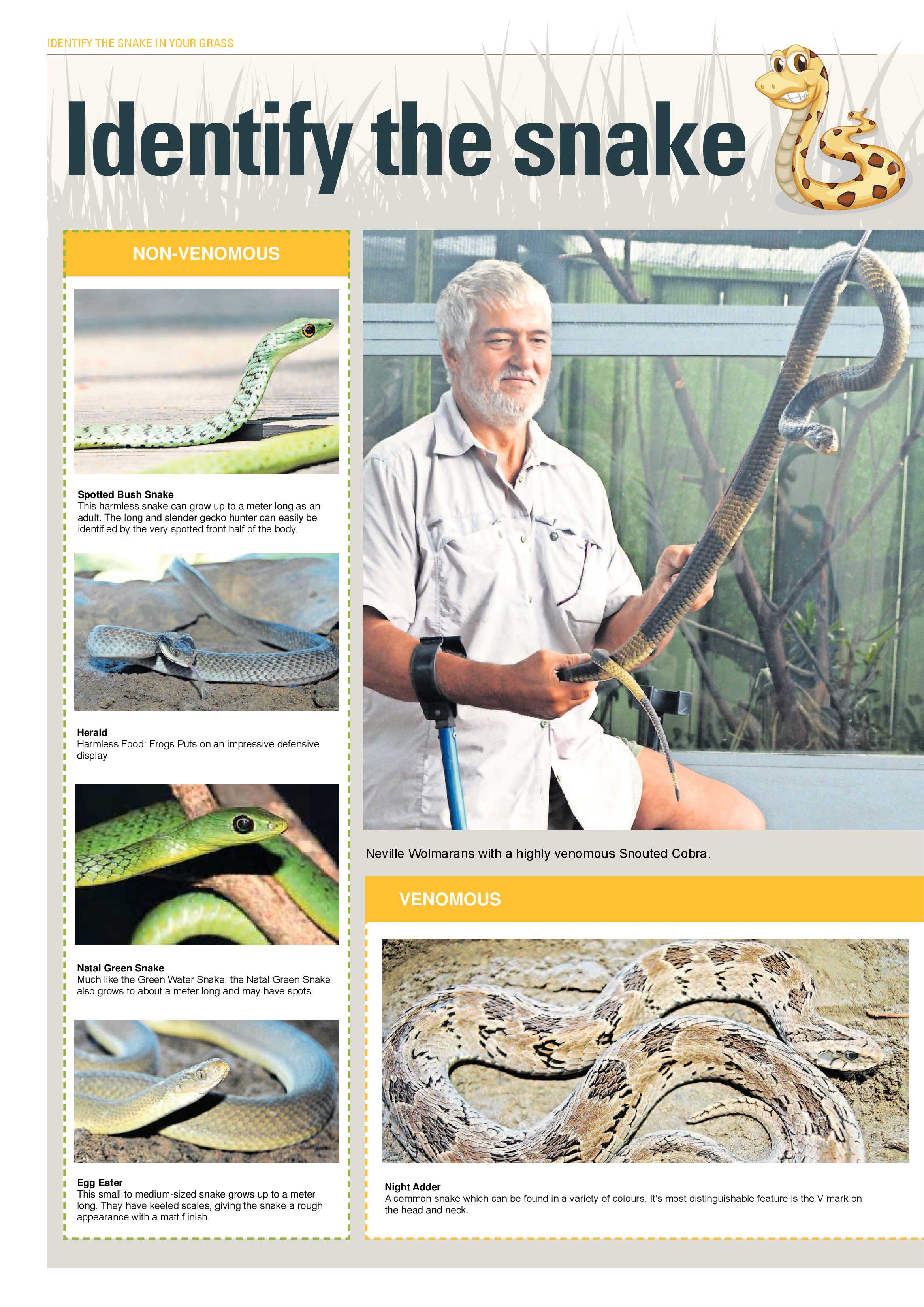 The North Coast Courier – 19 April 2019 page 33