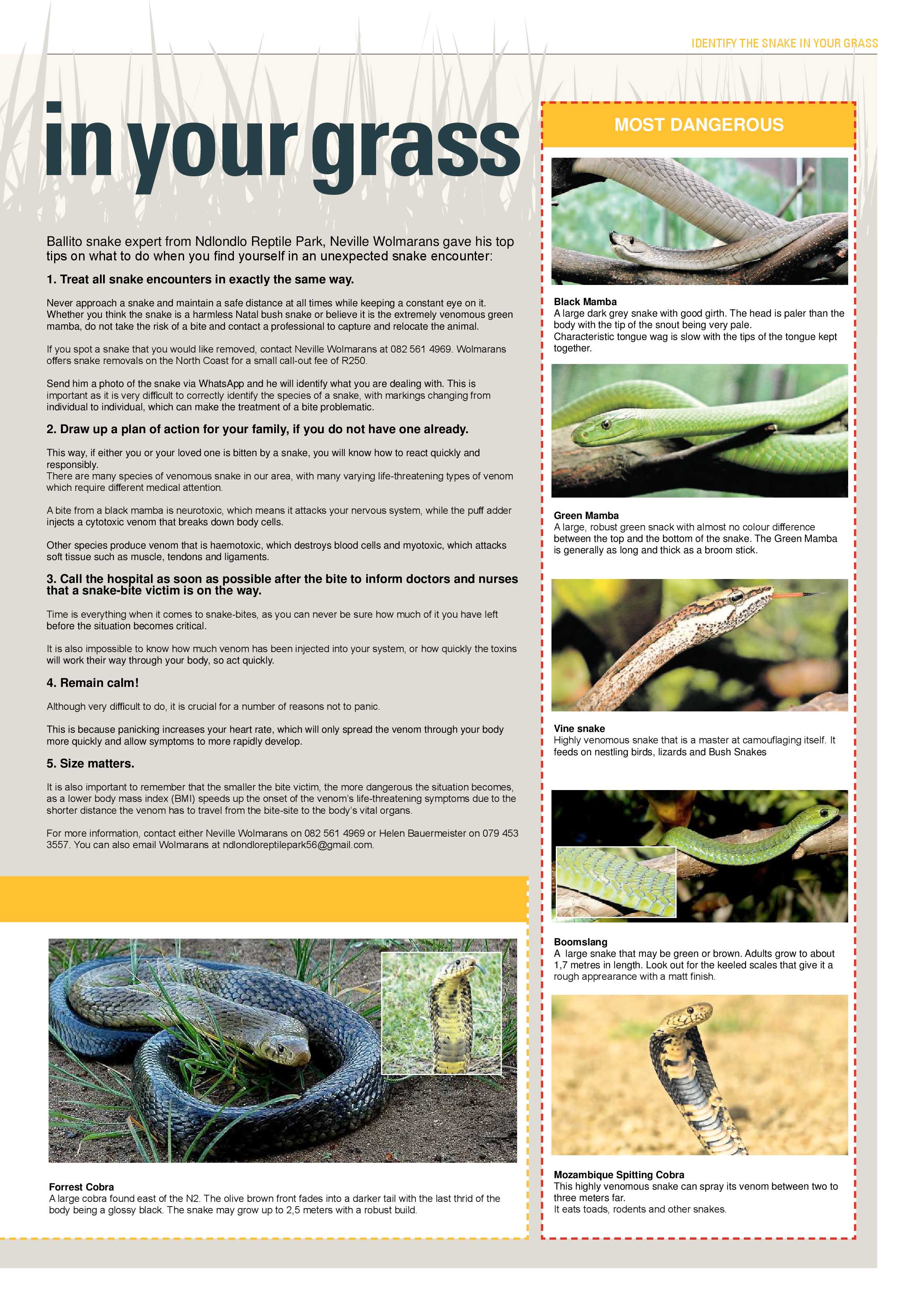 The North Coast Courier – 19 April 2019 page 34